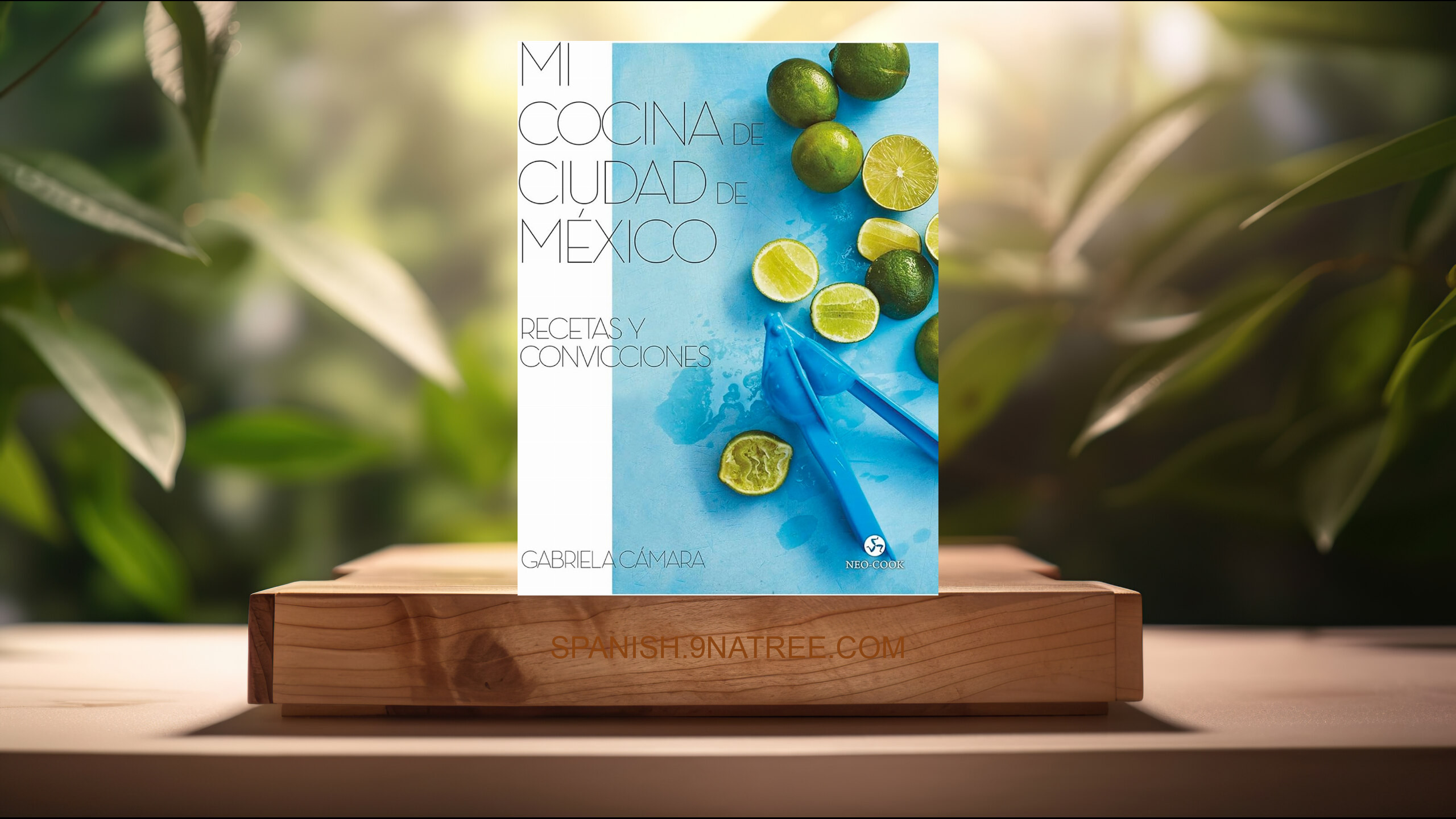 [Reseña] Mi cocina de Ciudad de México: Recetas y convicciones  (Gabriela Cámara) Resumida.
