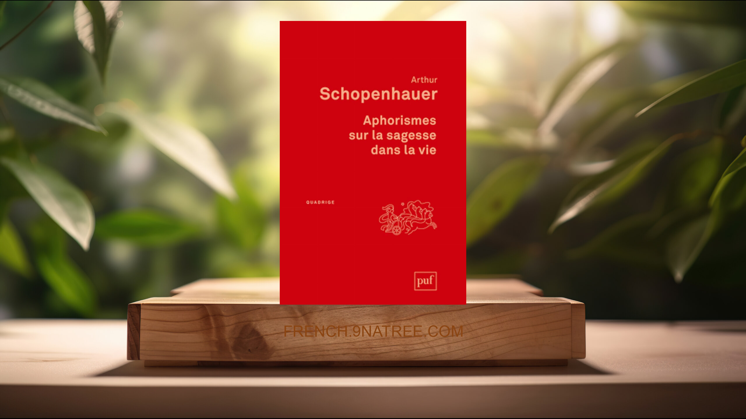 [Critique] Aphorismes sur la sagesse dans la vie (Arthur Schopenhauer) Résumé.