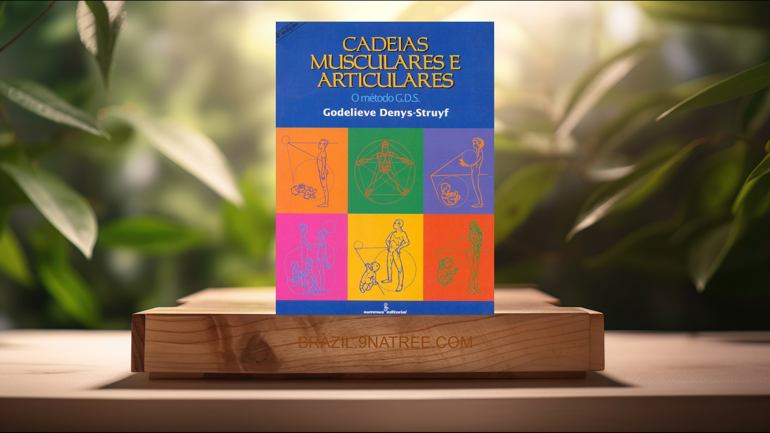 [Análises] Cadeias musculares e articulares: o método G.D.S. (Godelieve Denys-struyf) Resumidos.