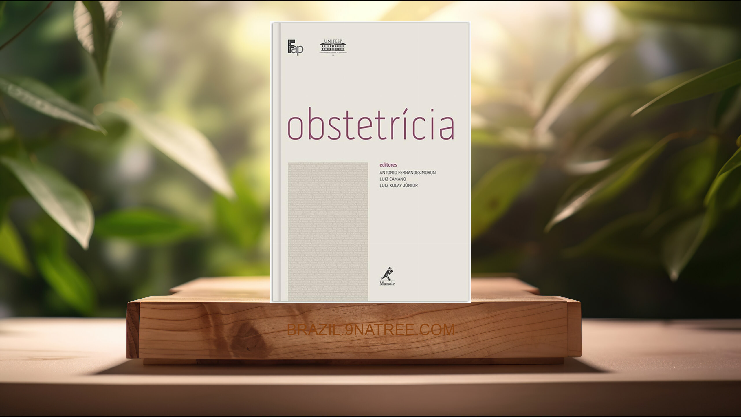 [Análises] Obstetrícia (Antonio Fernandes Moron) Resumidos.