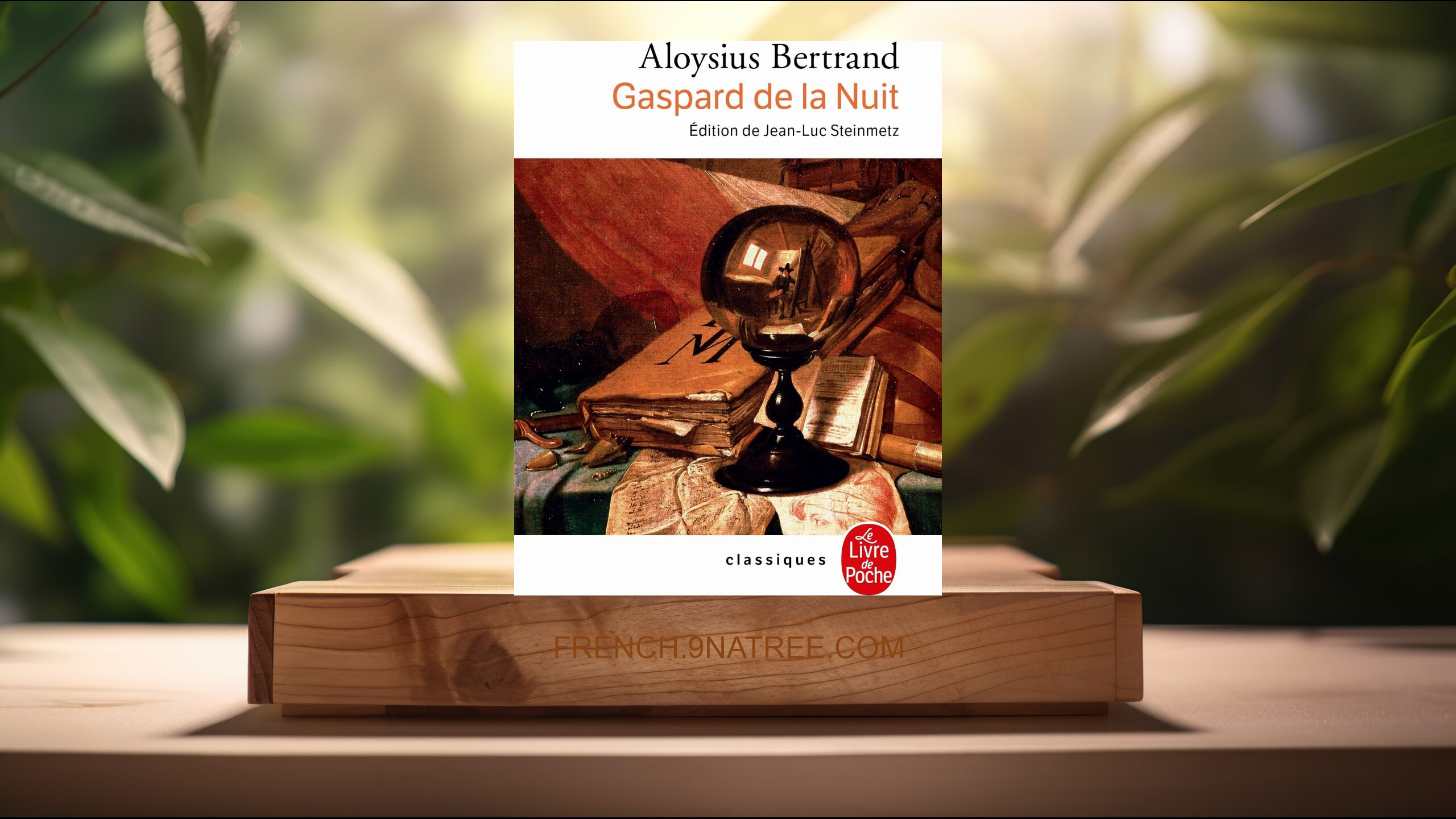 [Critique] Gaspard de la nuit (Aloysius Bertrand) Résumé.