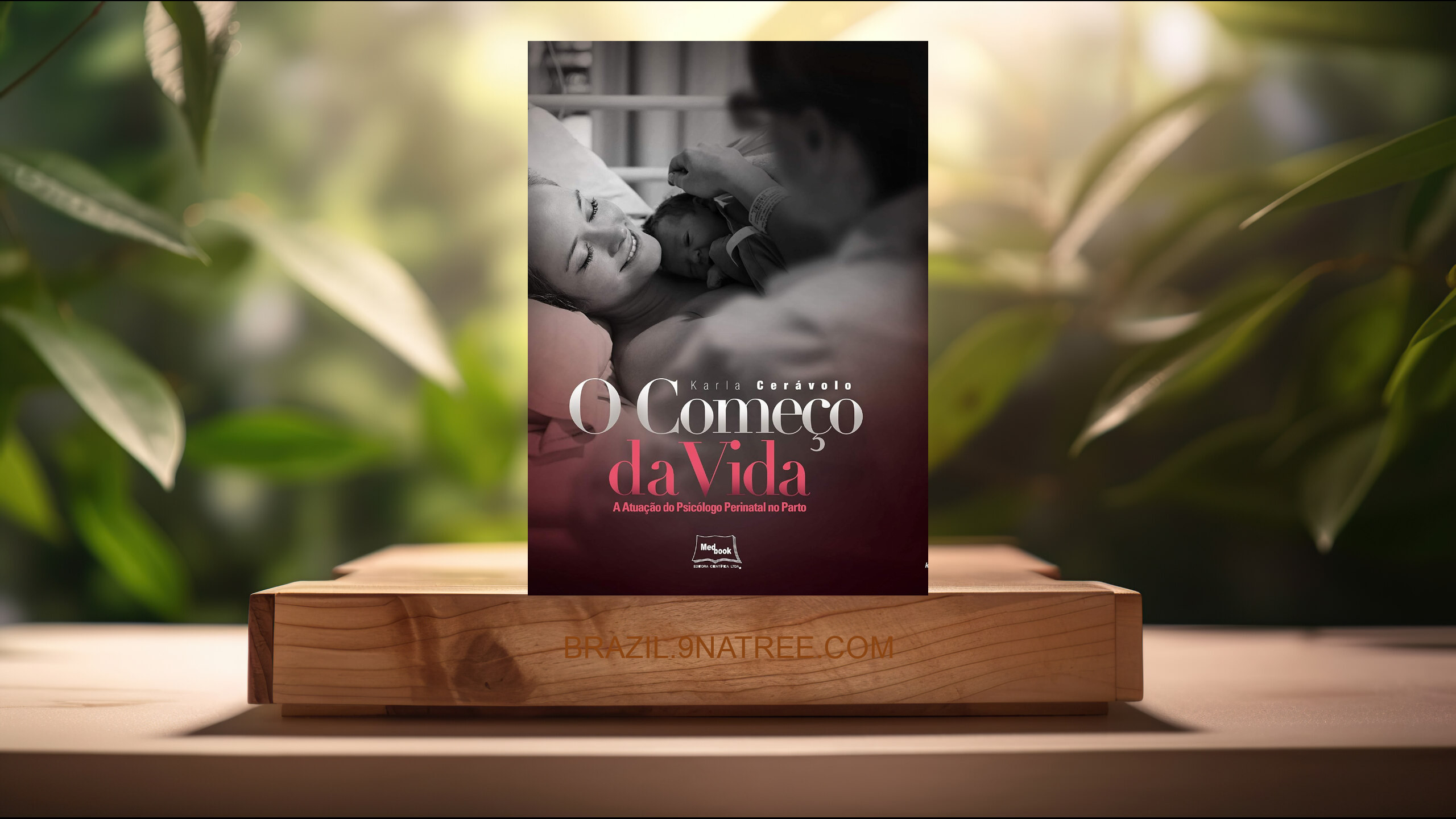 [Análises] O Começo da vida - A atuação do psicólogo perinatal no parto (Karla Cerávalo) Resumidos.