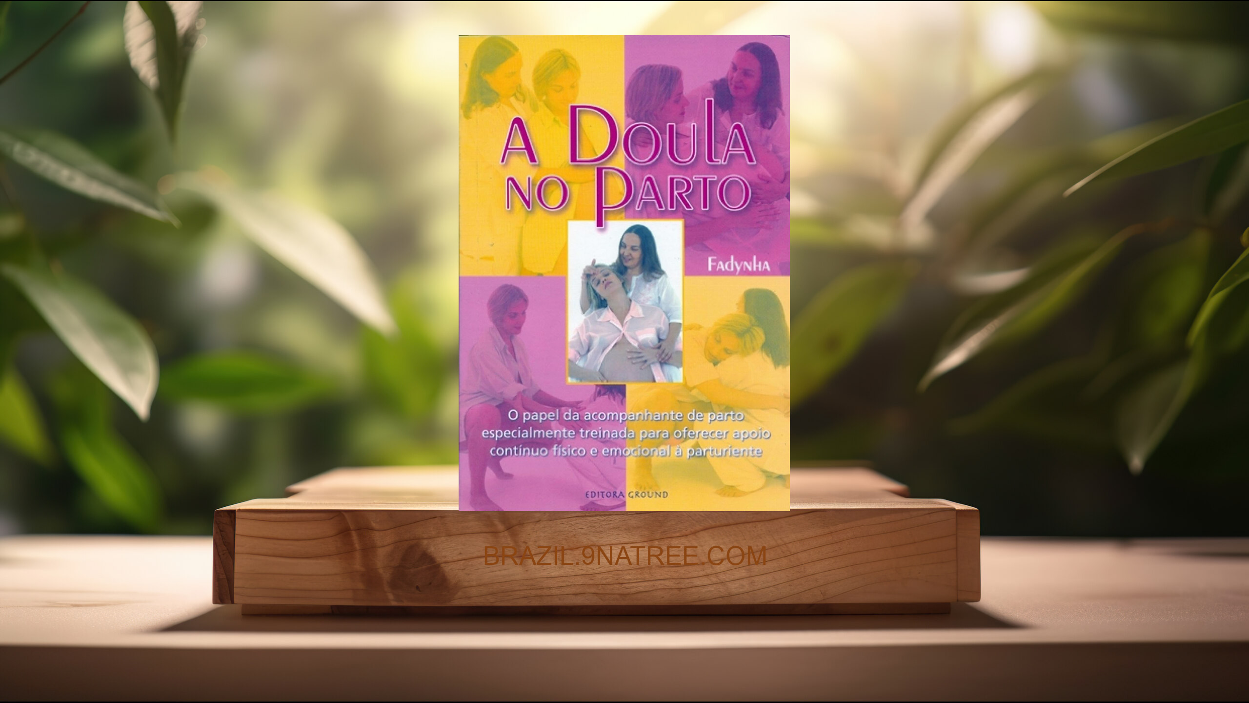 [Análises] A Doula no Parto (Fadynha) Resumidos.
