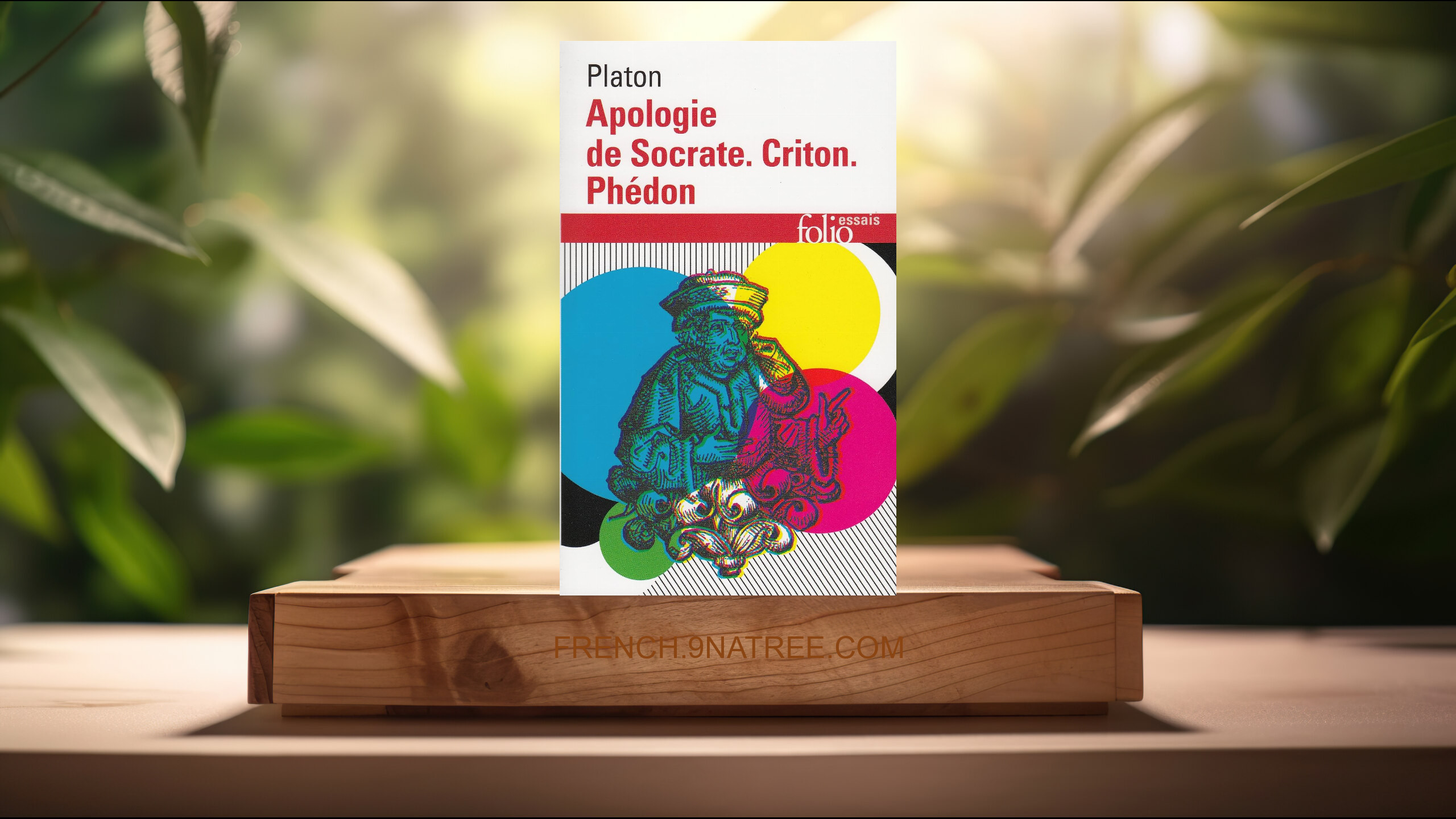 [Critique] Apologie de Socrate - Criton - Phédon (Platon) Résumé.