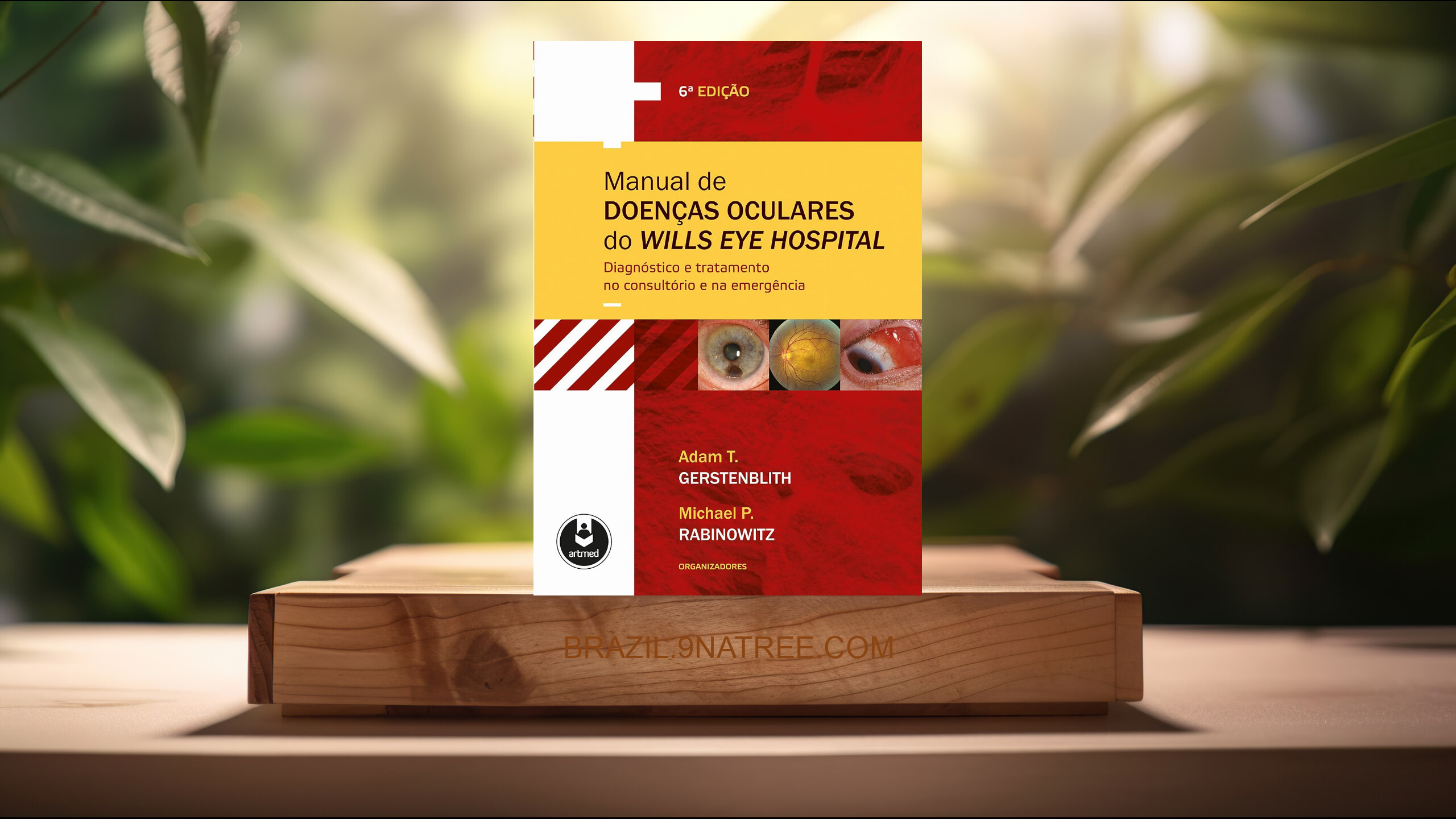 [Análises] Manual de Doenças Oculares do Wills Eye Hospital (Adam T. Gerstenblith) Resumidos.