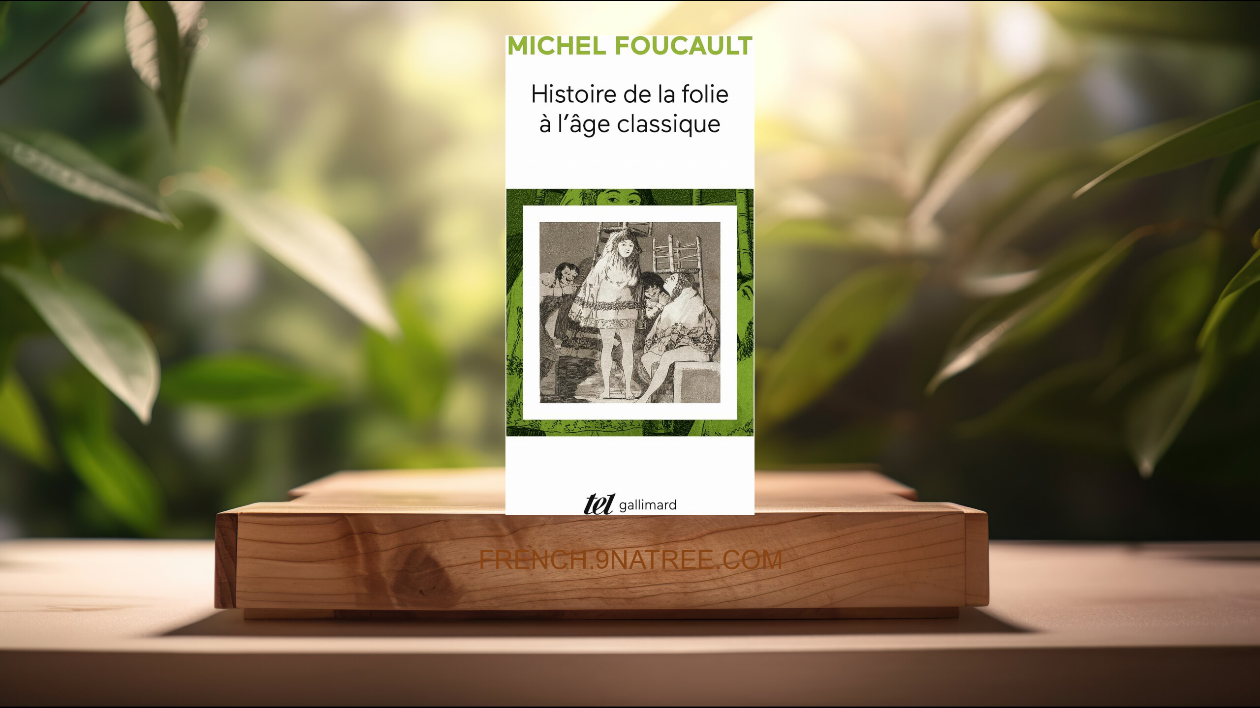 [Critique] Histoire De La Folie a L'age Classique  (Michel Foucault) Résumé.