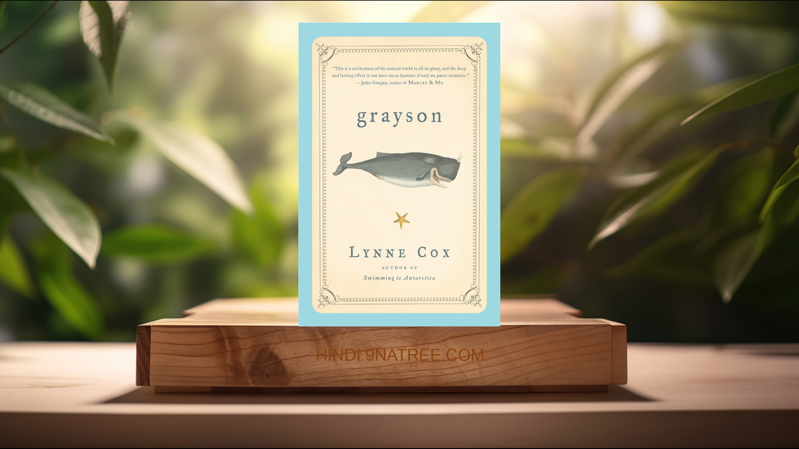 [समीक्षा] Grayson (Lynne Cox) सारांशित. episode artwork