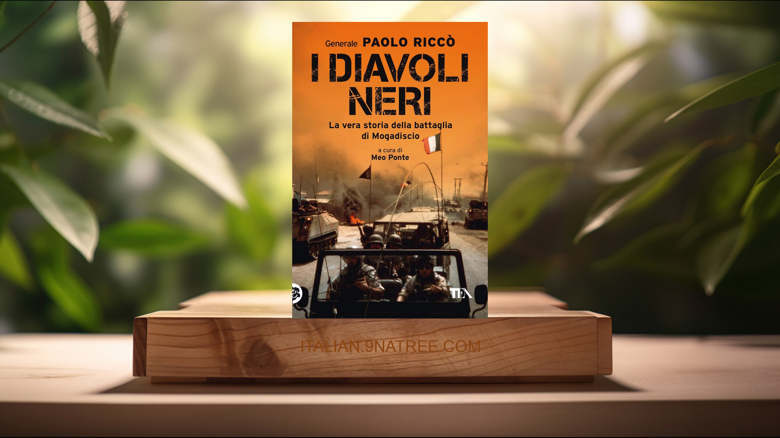 [Recensione] I diavoli neri. La vera storia della battaglia di Mogadiscio (Paolo Riccò) Riassunto.