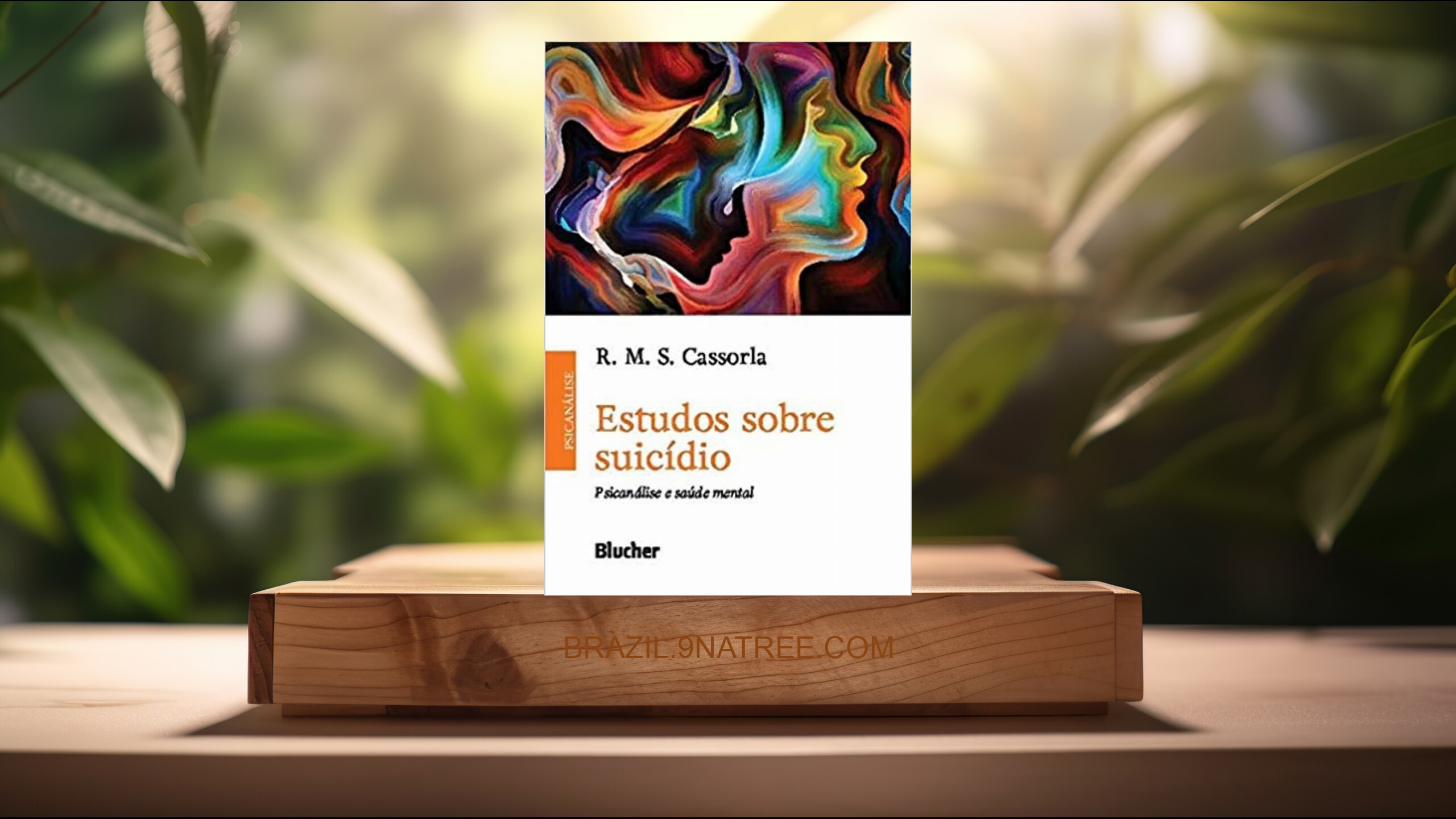 [Análises] Estudos Sobre Suicídio: Psicanálise e Saúde Mental (R. M. S. Cassorla) Resumidos.