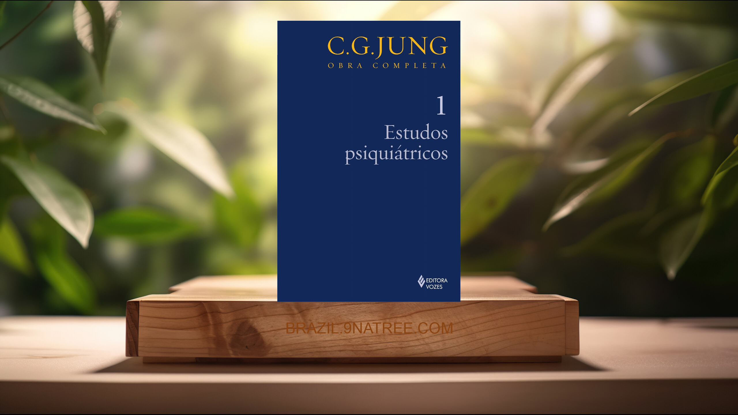 [Análises] Estudos psiquiátricos Vol. 1: Volume 1 (C.G. Jung) Resumidos.