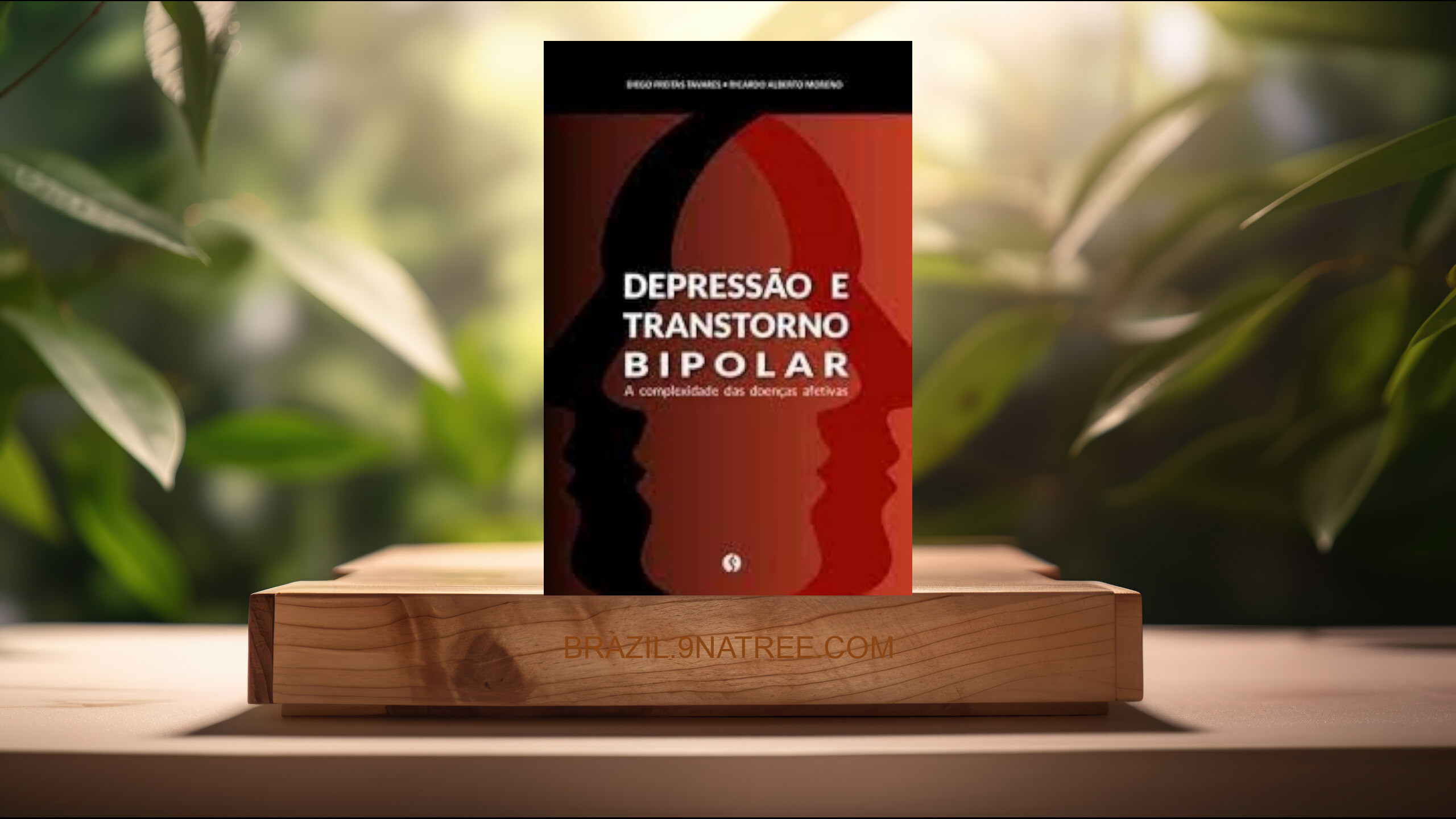 [Análises] Depressão E Transtorno Bipolar - A Complexidade Das Doenças Afetivas (Diego Freitas Tavares) Resumidos.