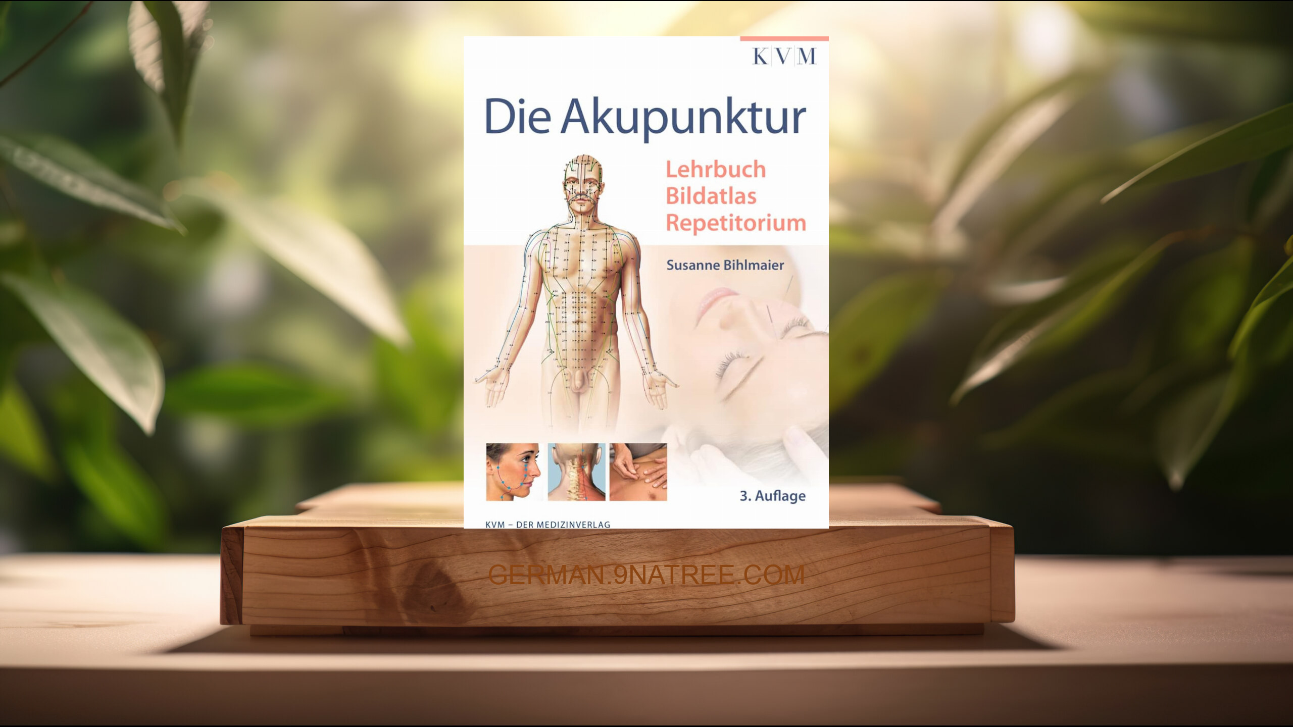 [Rezensiert] Die Akupunktur: Lehrbuch | Bildatlas | Repetitorium (Susanne Bihlmaier) Zusammengefasst.