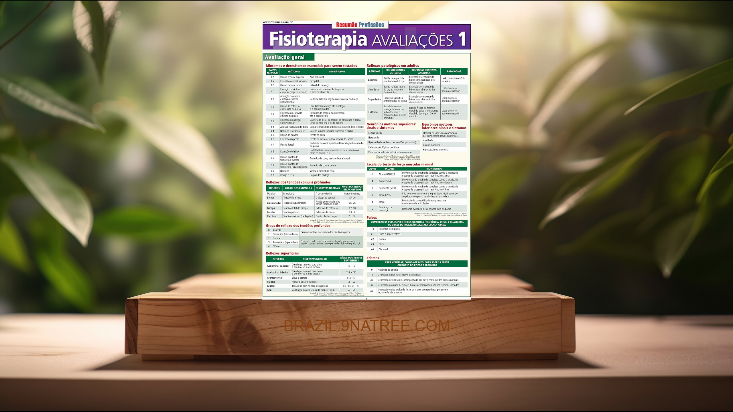 [Análises] Fsioterapia avaliações 1 (J. Kolber Mary Blackinton Morey) Resumidos.
