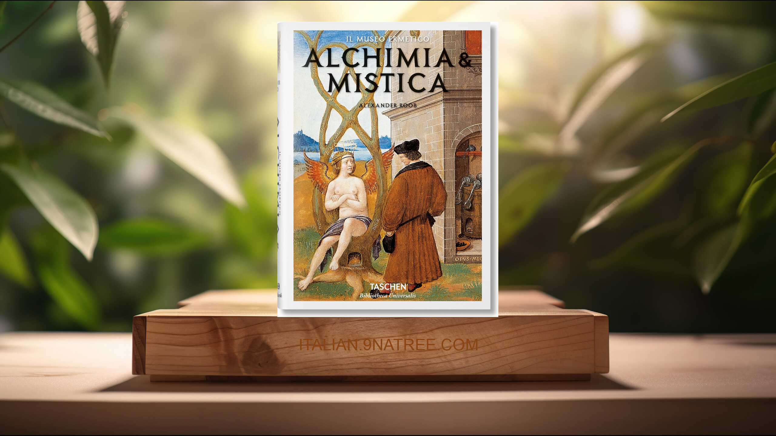 [Recensione] Alchimia &amp; Mistica (Alexander Roob) Riassunto.