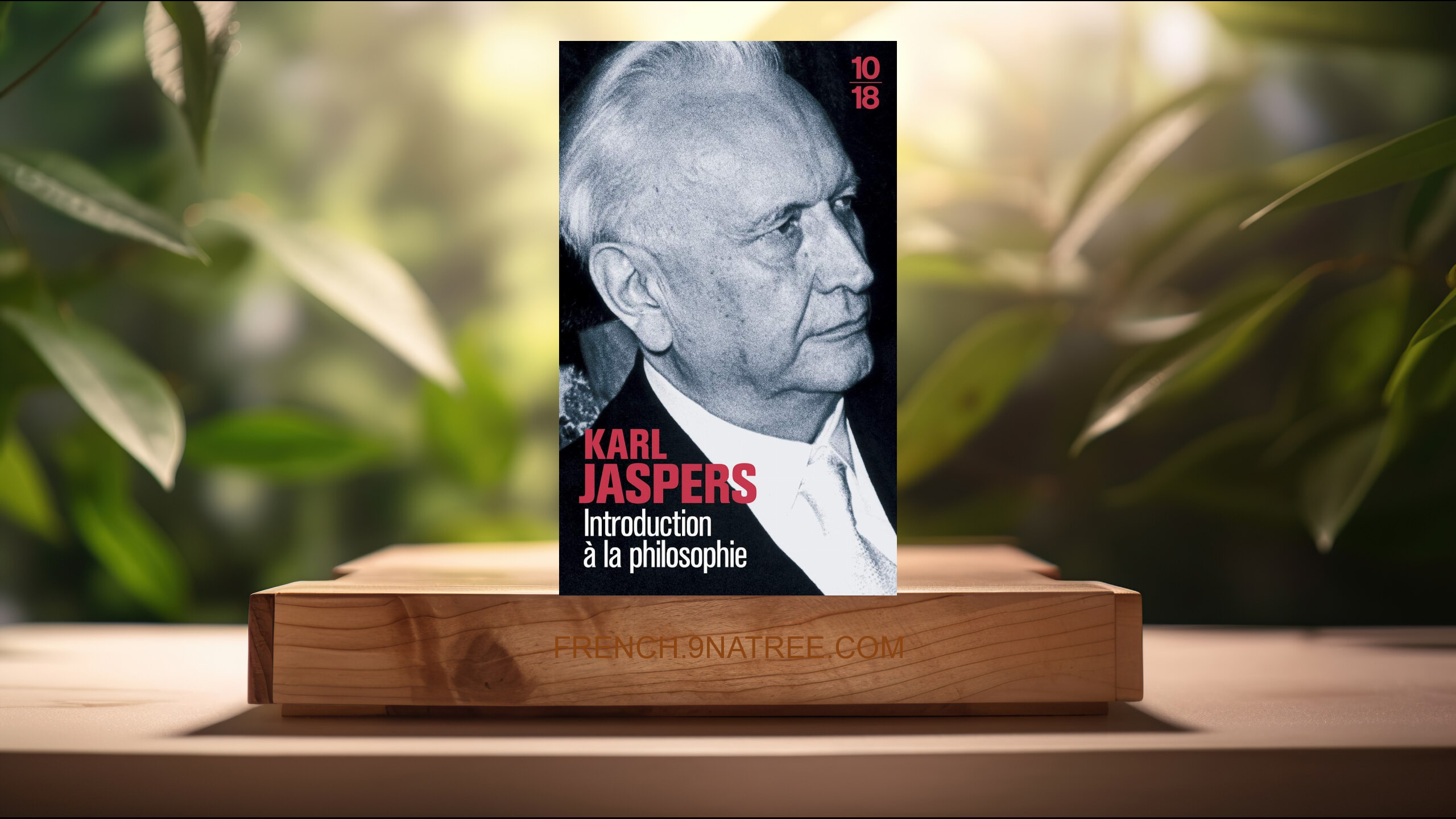 [Critique] Introduction à la philosophie (Karl Jaspers) Résumé.