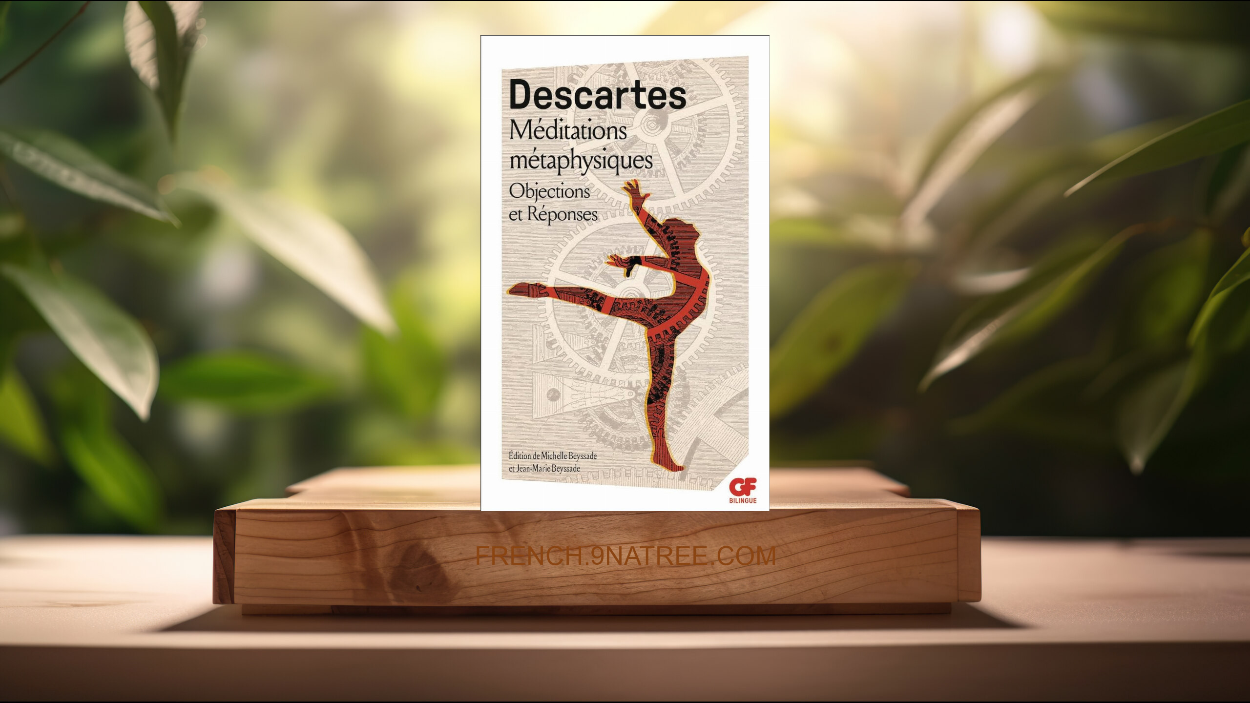 [Critique] Méditations métaphysiques  (René Descartes) Résumé.