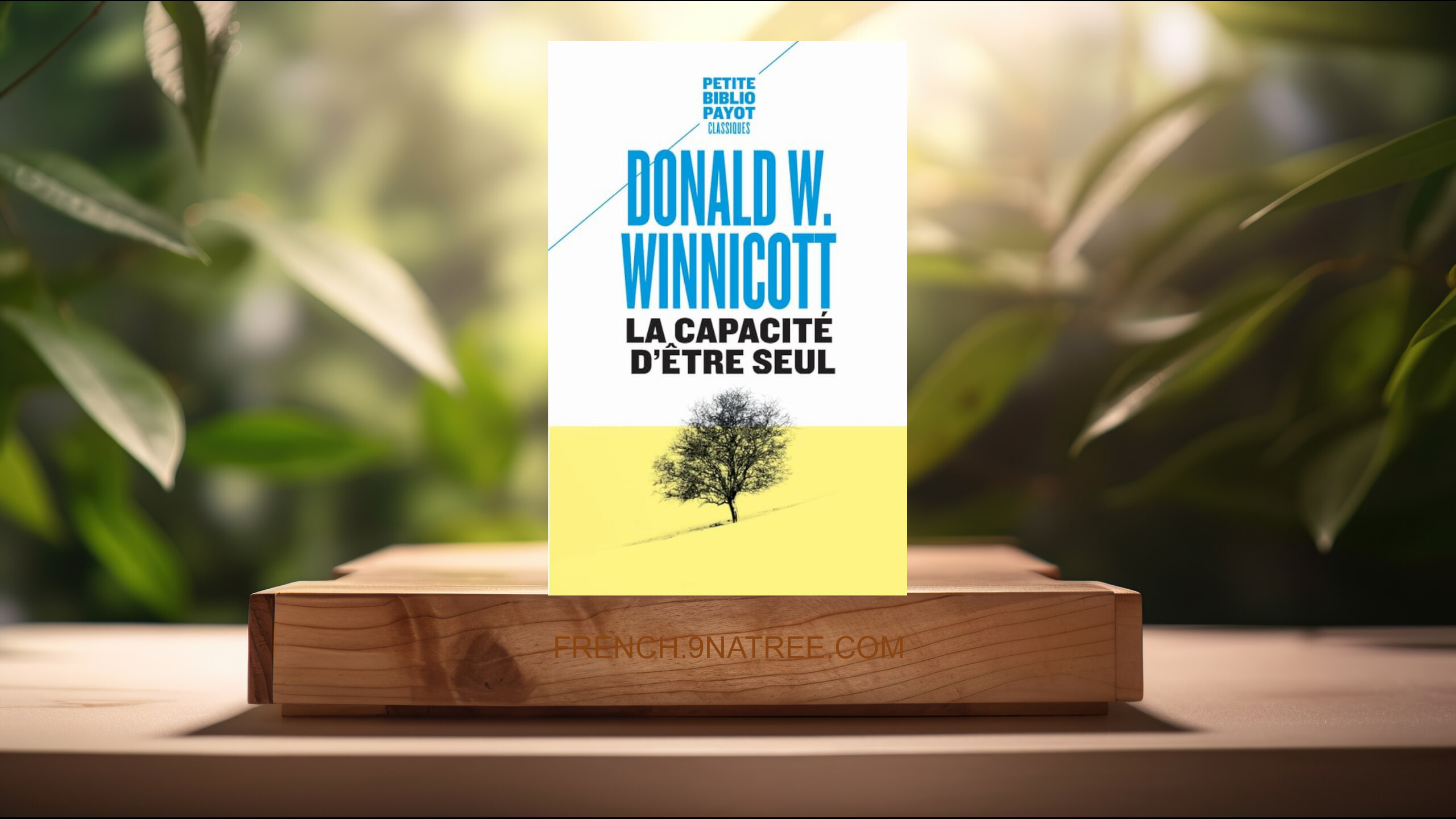 [Critique] La capacité d'être seul (Donald W. Winnicott) Résumé.