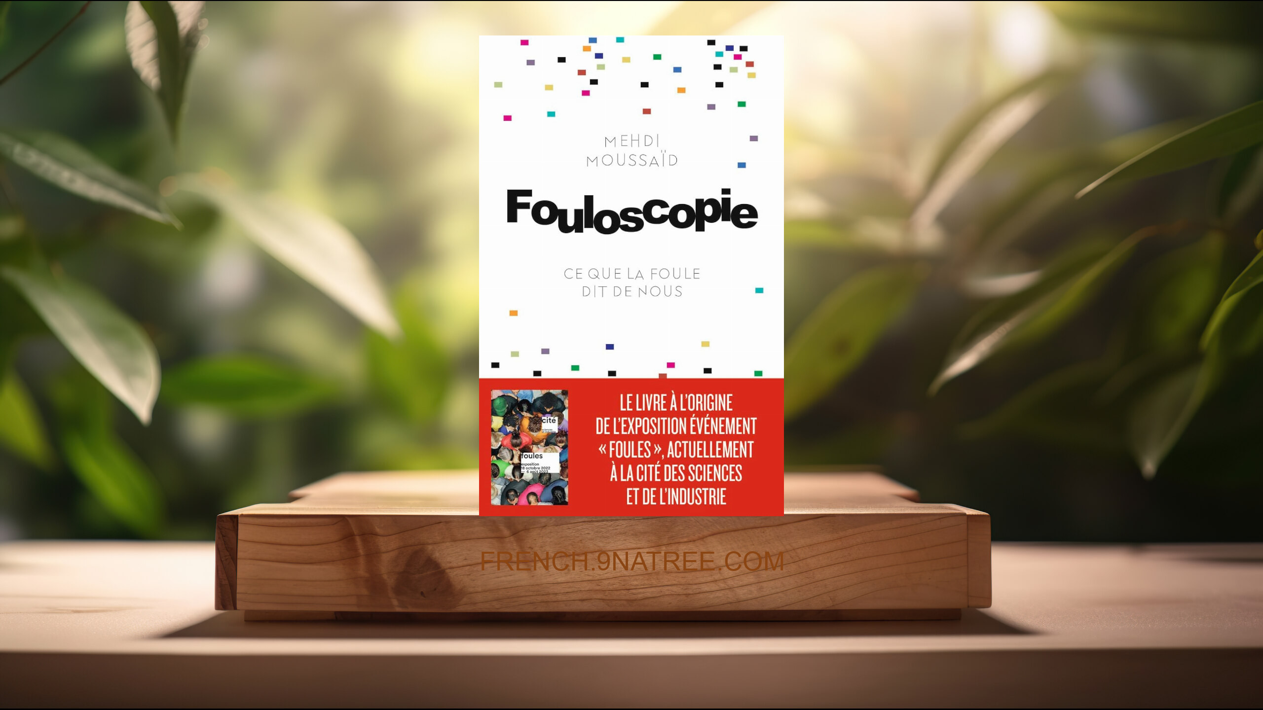 [Critique] Fouloscopie: Ce que la foule dit de nous (Mehdi Moussaid) Résumé.