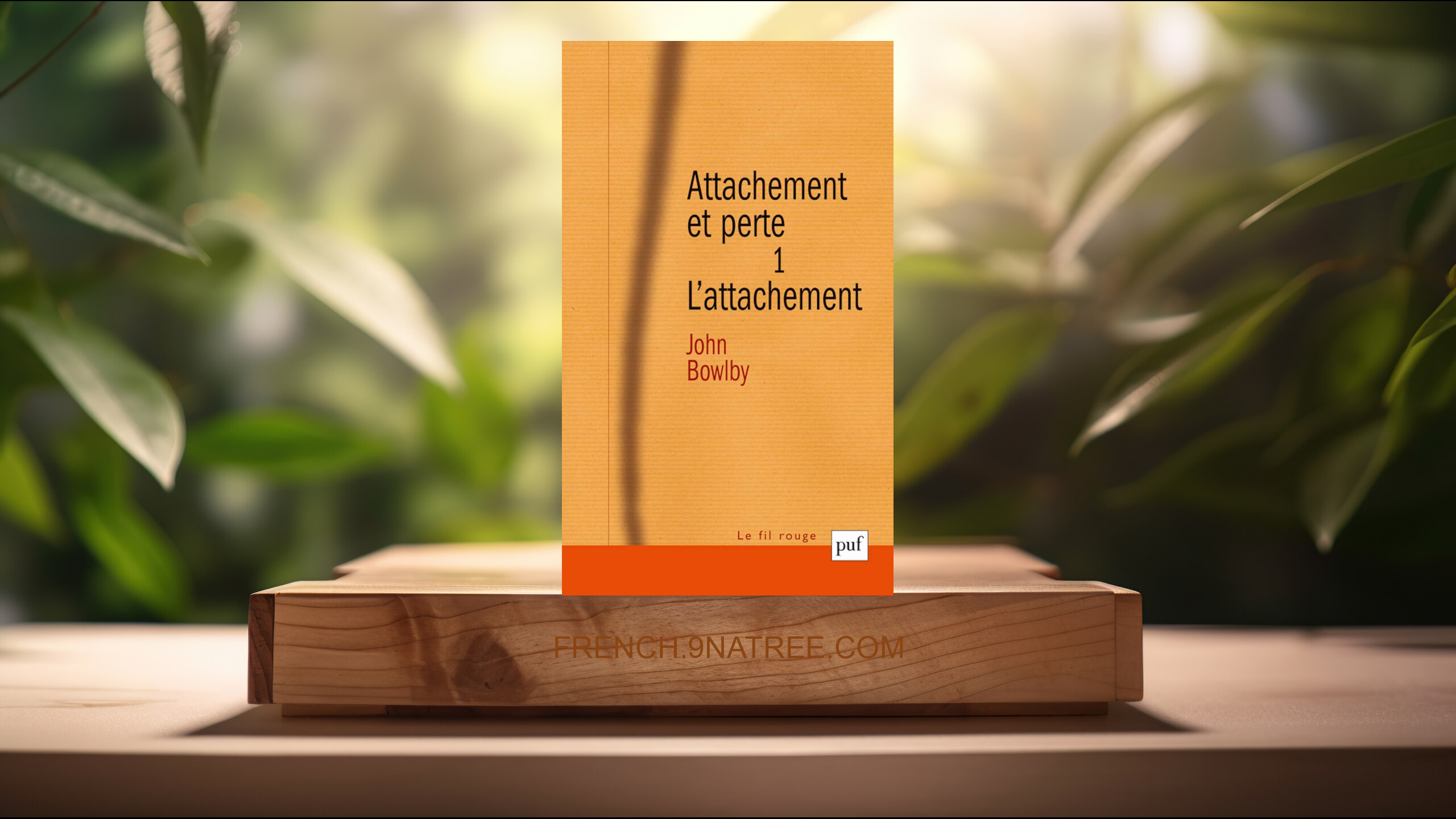 [Critique] Attachement et perte. Volume 1: L'attachement (John Bowlby) Résumé.
