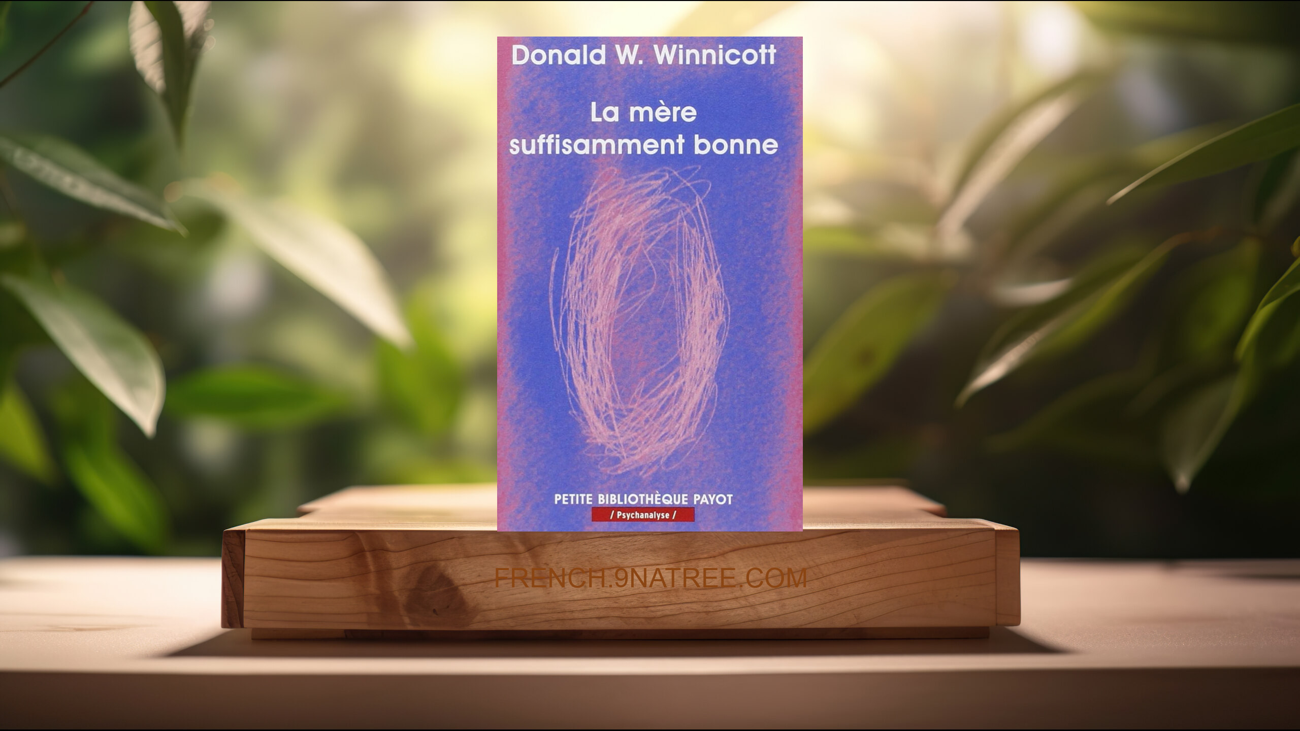 [Critique] La mère suffisamment bonne (Donald W. Winnicott) Résumé.