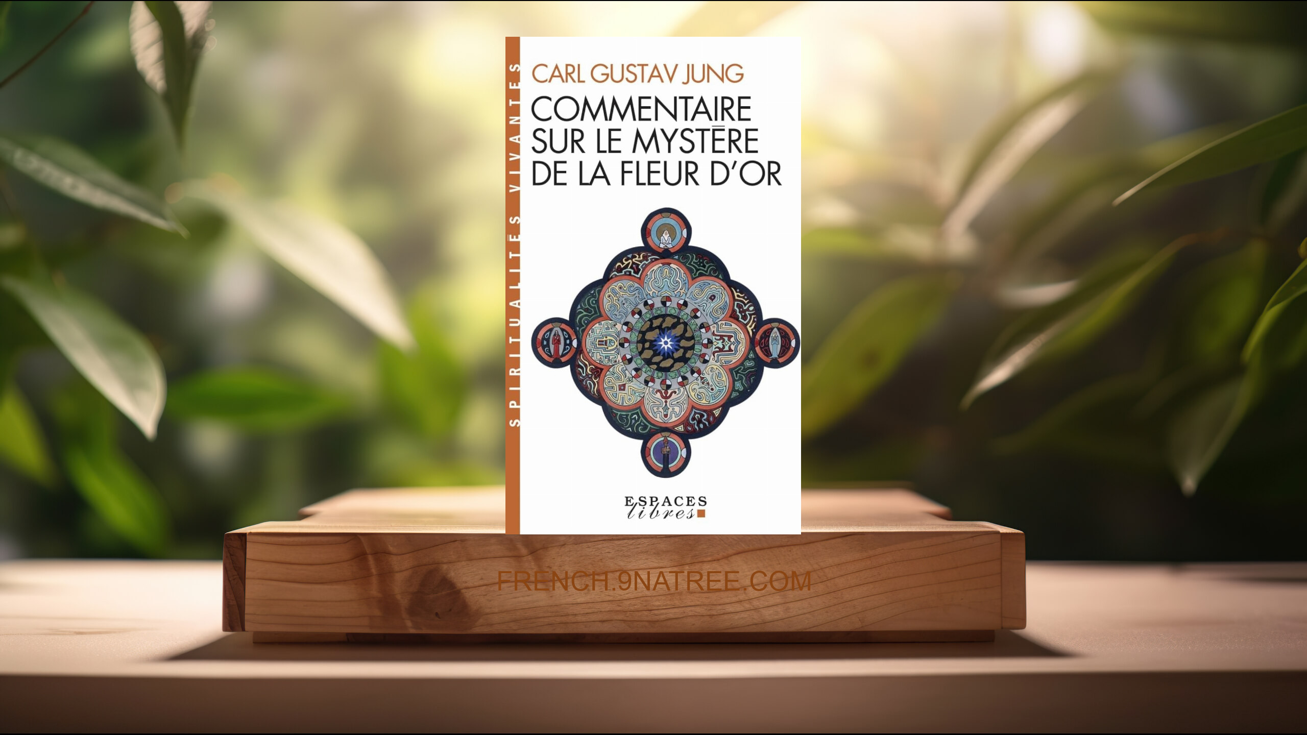 [Critique] Commentaire sur le mystère de la fleur d'or  (Carl Gustav Jung) Résumé.