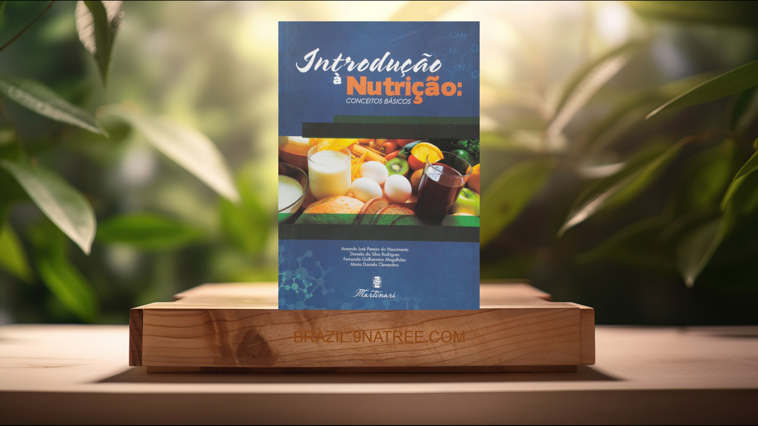 [Análises] Introdução à Nutrição. Conceitos Básicos (Amanda José Pereira do Nascimento) Resumidos.