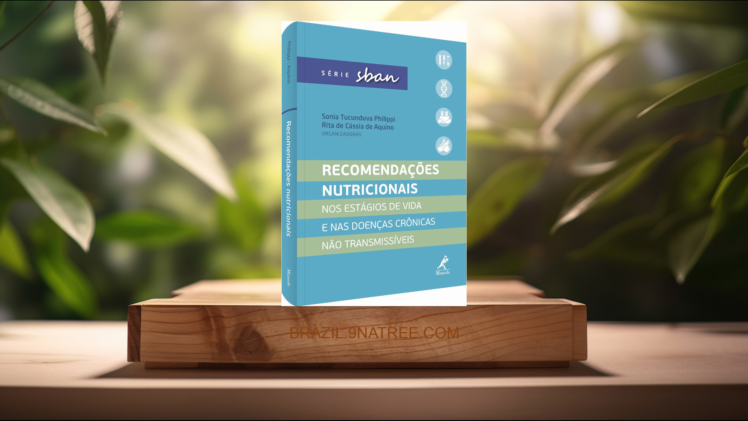 [Análises] Recomendações nutricionais (Sonia Tucunduva Philippi) Resumidos.
