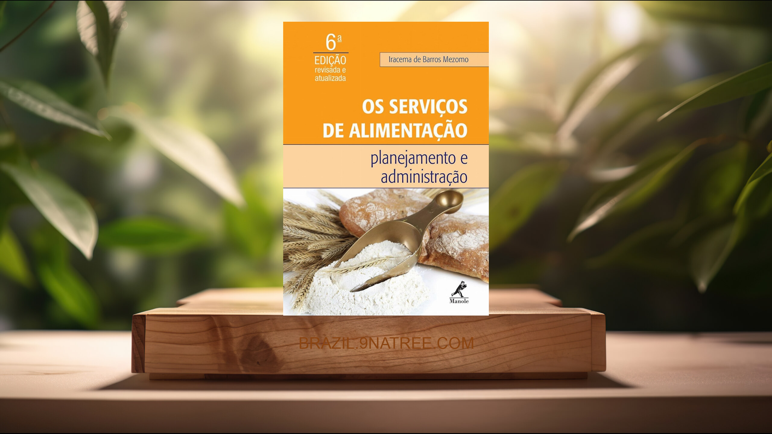 [Análises] Os serviços de alimentação: Planejamento e administração (Iracema de Barros Mezomo) Resumidos.