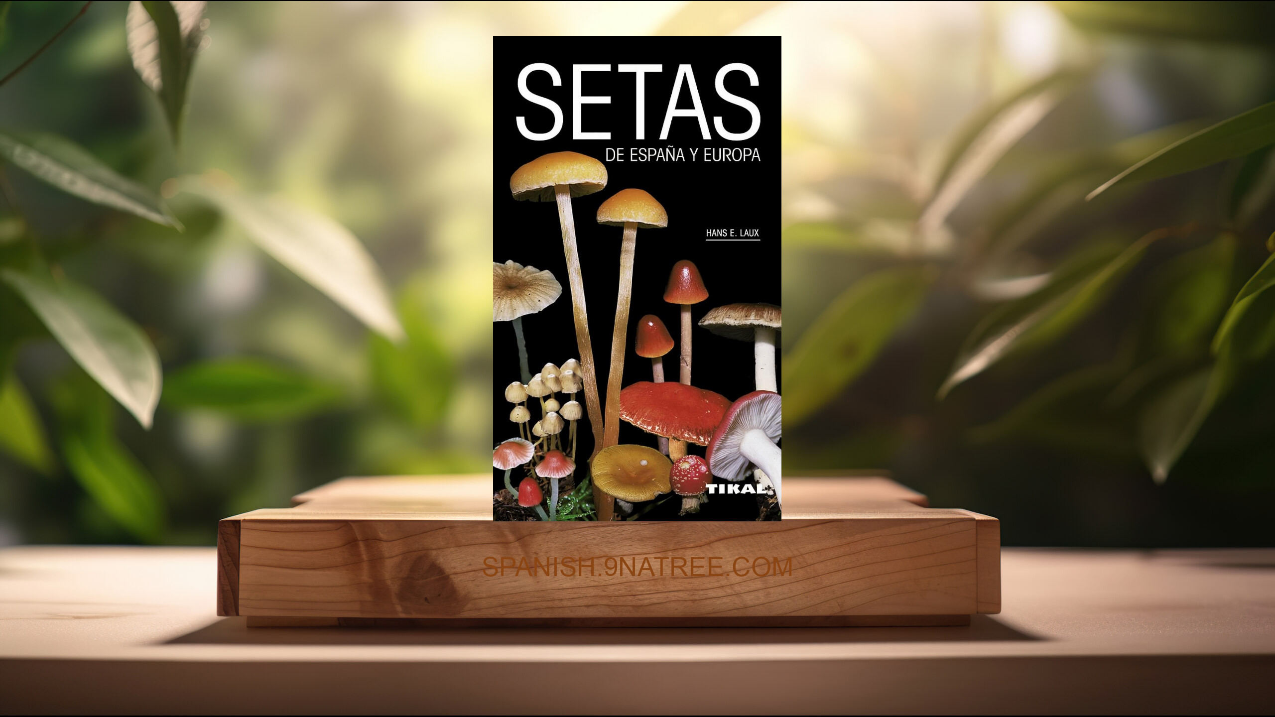 [Reseña] Tikal - Setas de España y Europa (Hans E. E. Laux) Resumida.