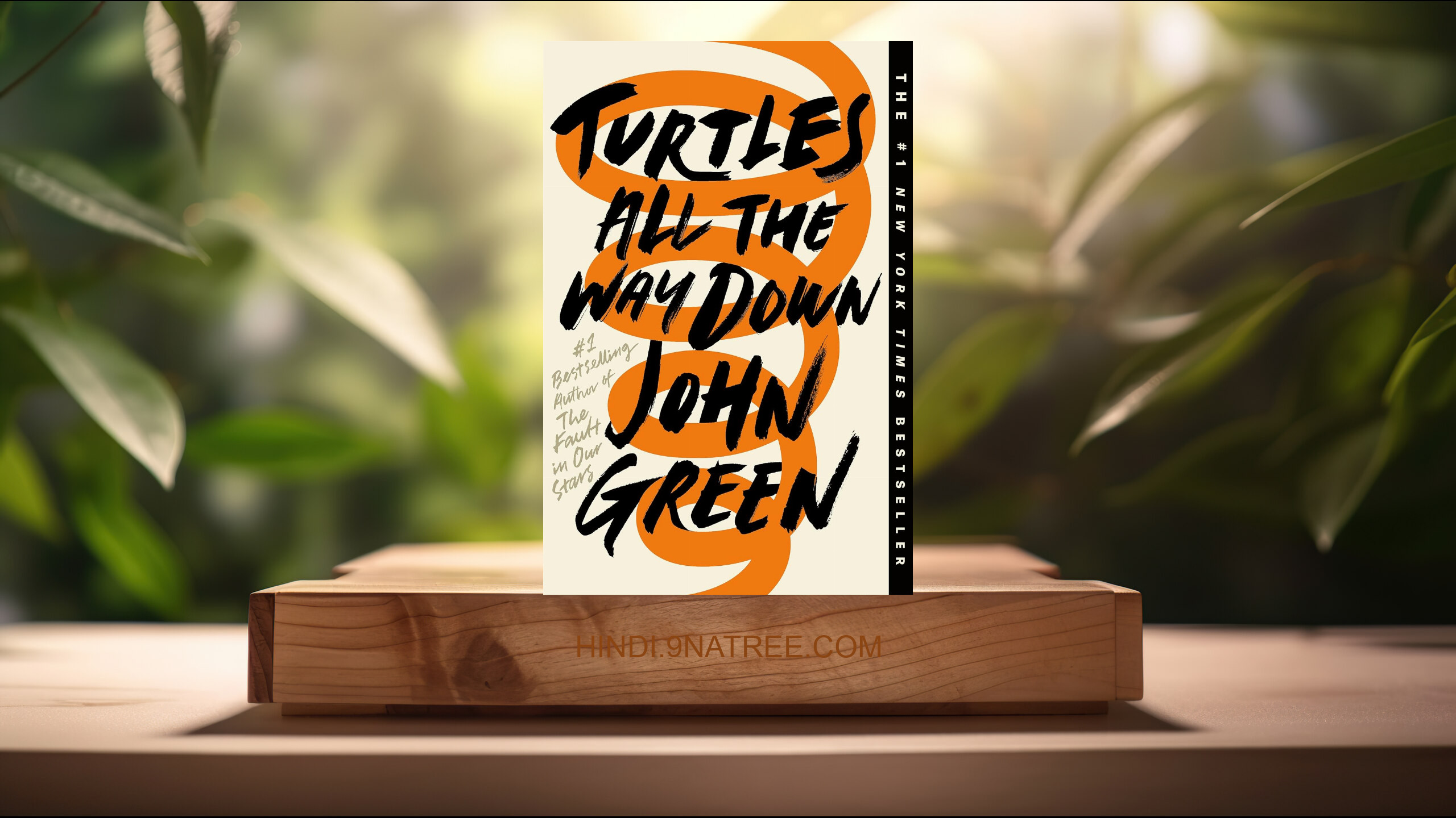 [समीक्षा] Turtles All the Way Down (John Green) सारांशित. episode artwork