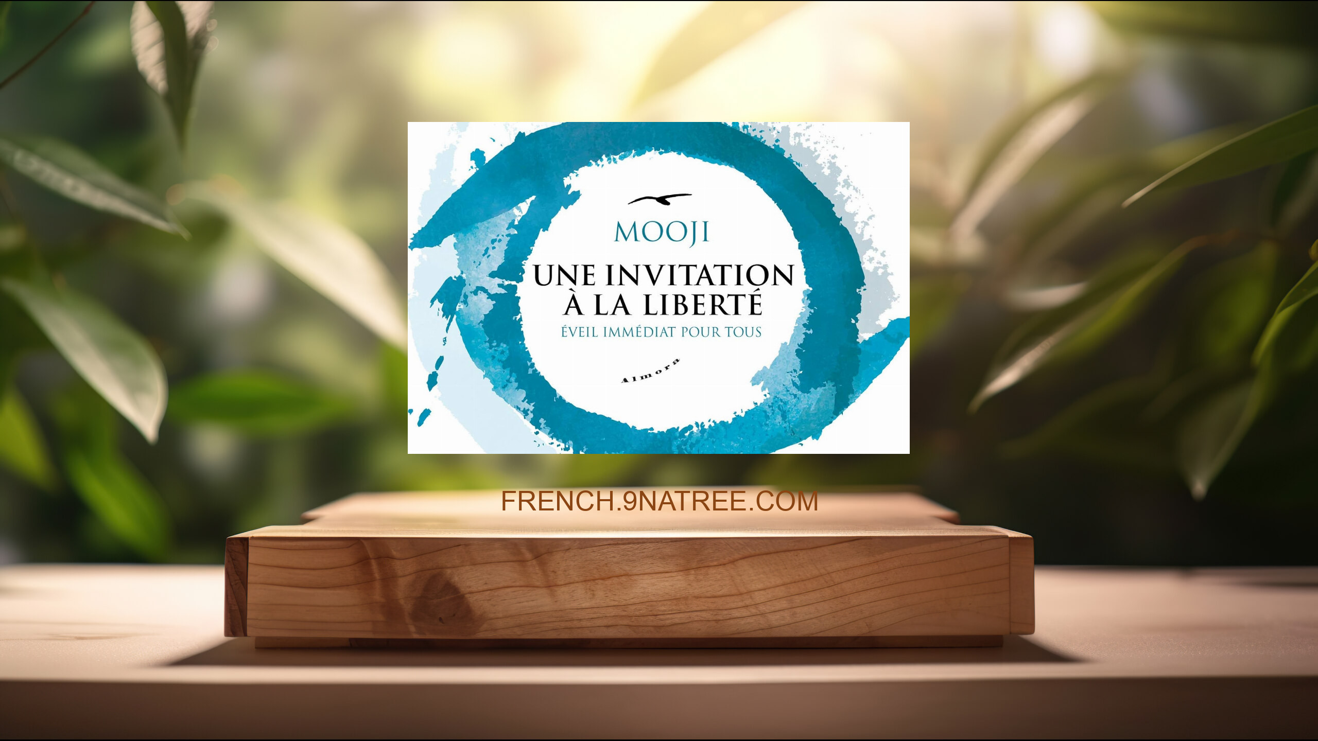 [Critique] Une invitation à la liberté - Eveil immédiat pour tous (Mooji) Résumé.