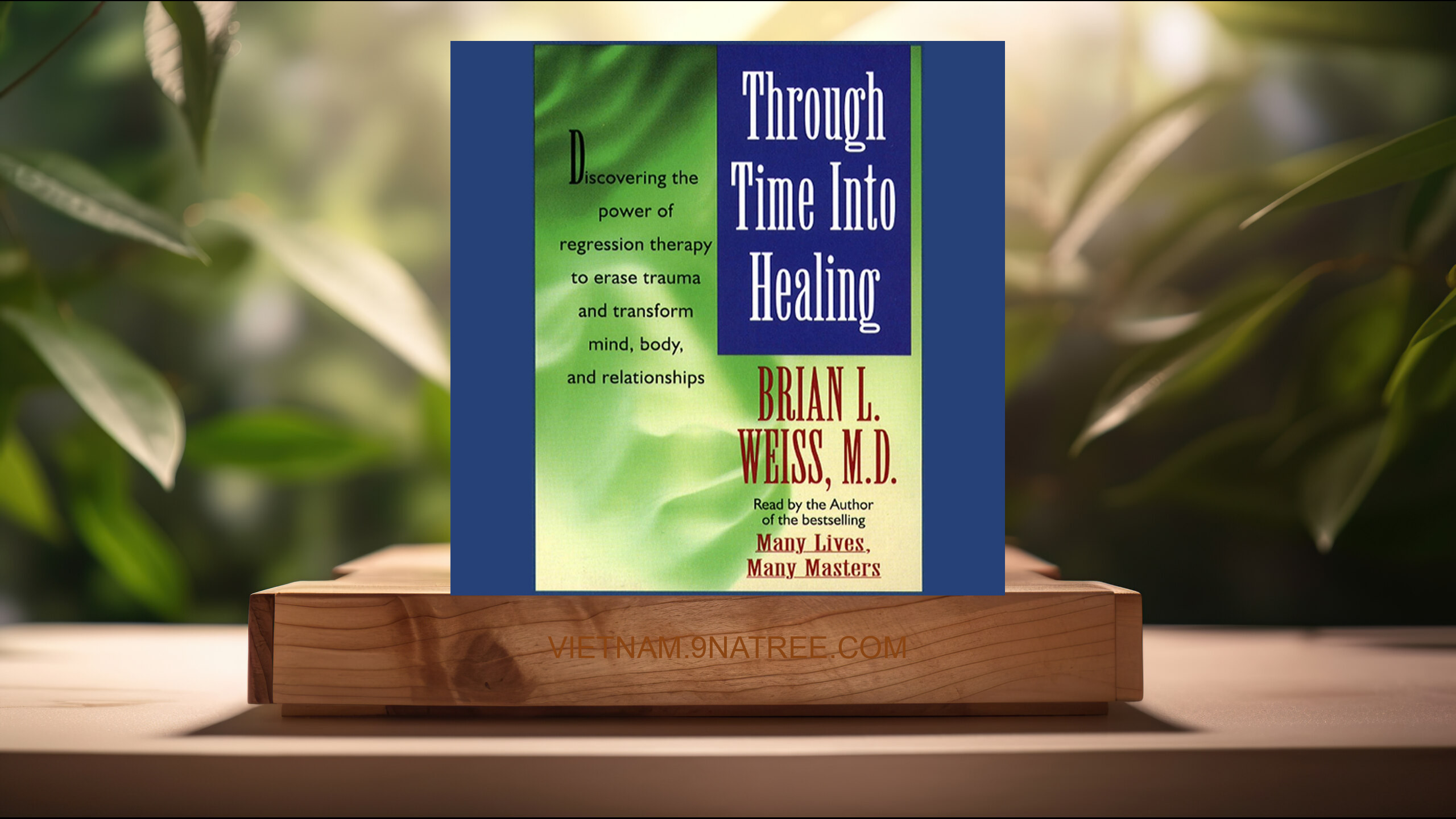 [Đánh giá] Through Time Into Healing (Brian L. Weiss M.D. M.D.) Tóm tắt.