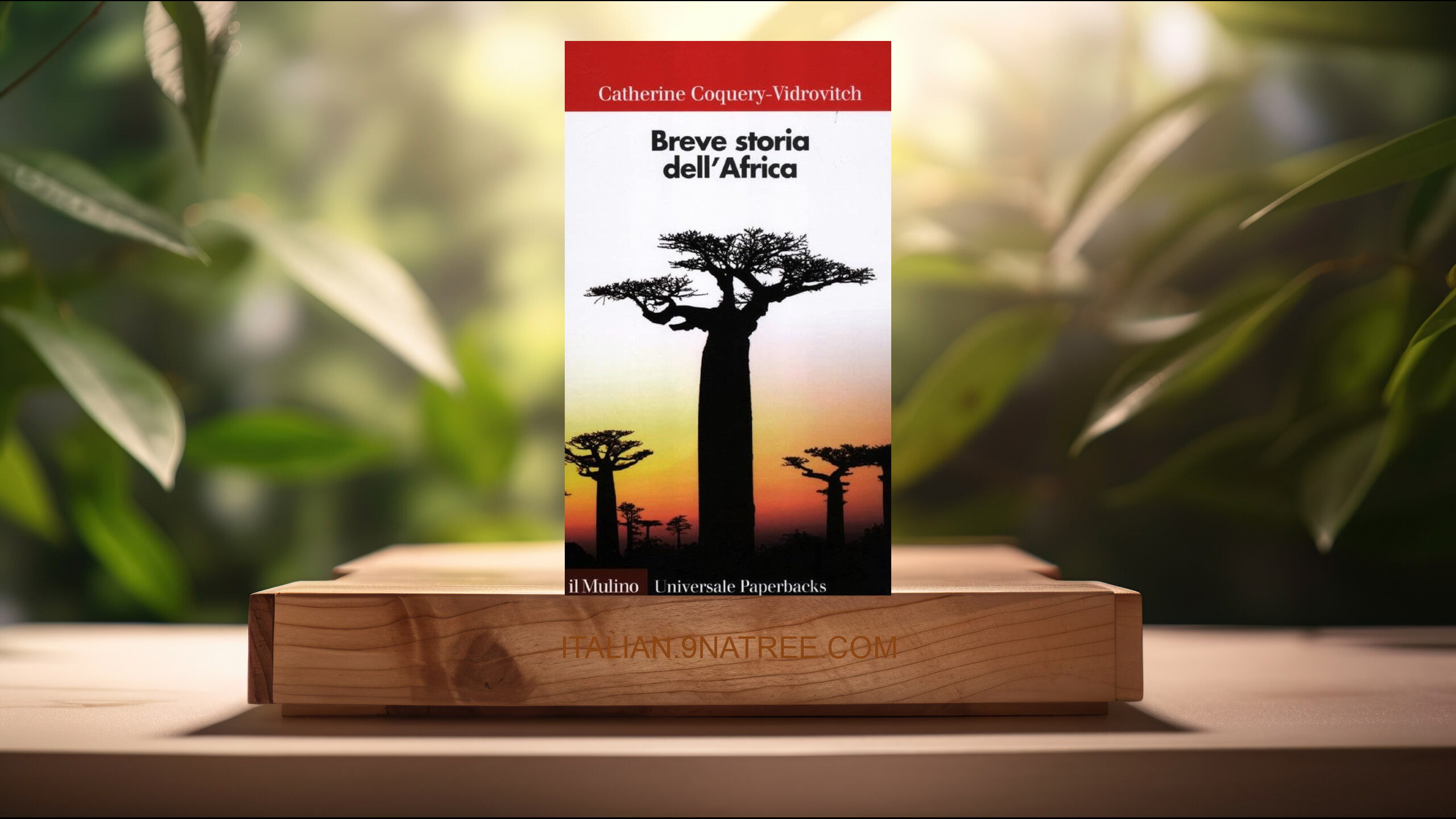 [Recensione] Breve storia dell'Africa (Catherine Coquery Vidrovitch) Riassunto.