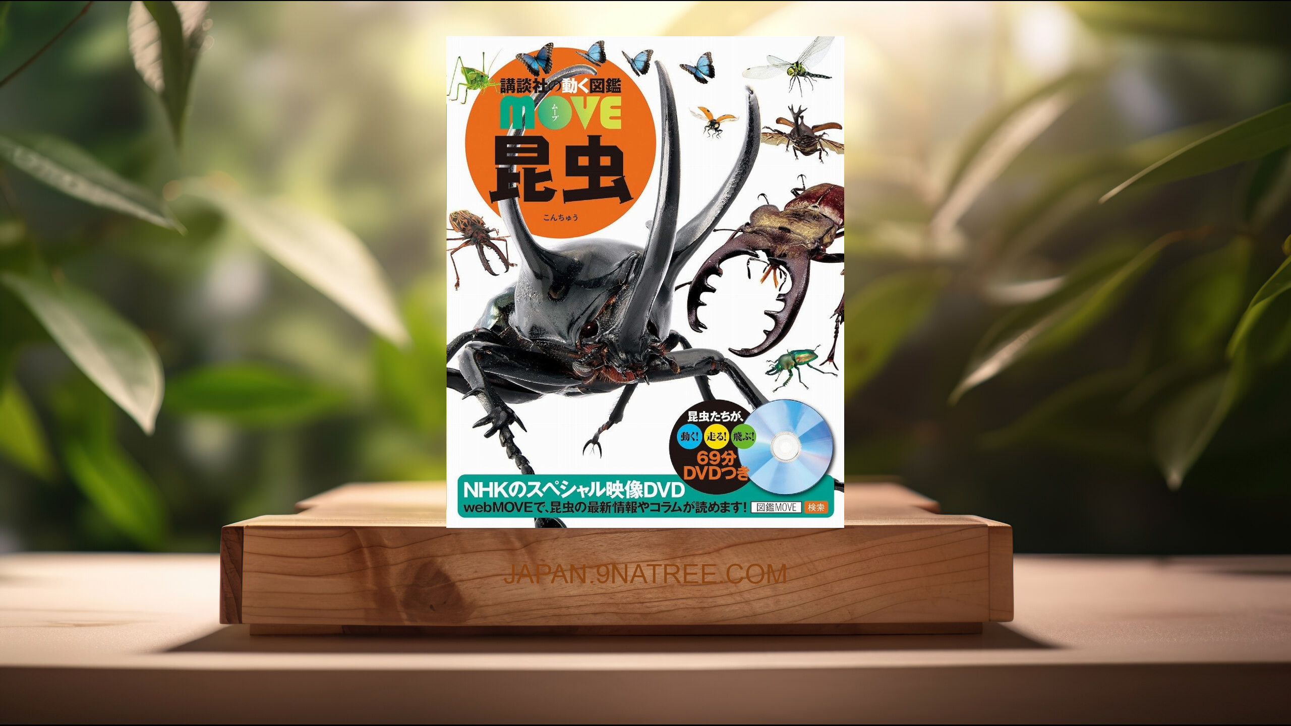 [レビュー] DVD付 昆虫  (講談社) 要約した.