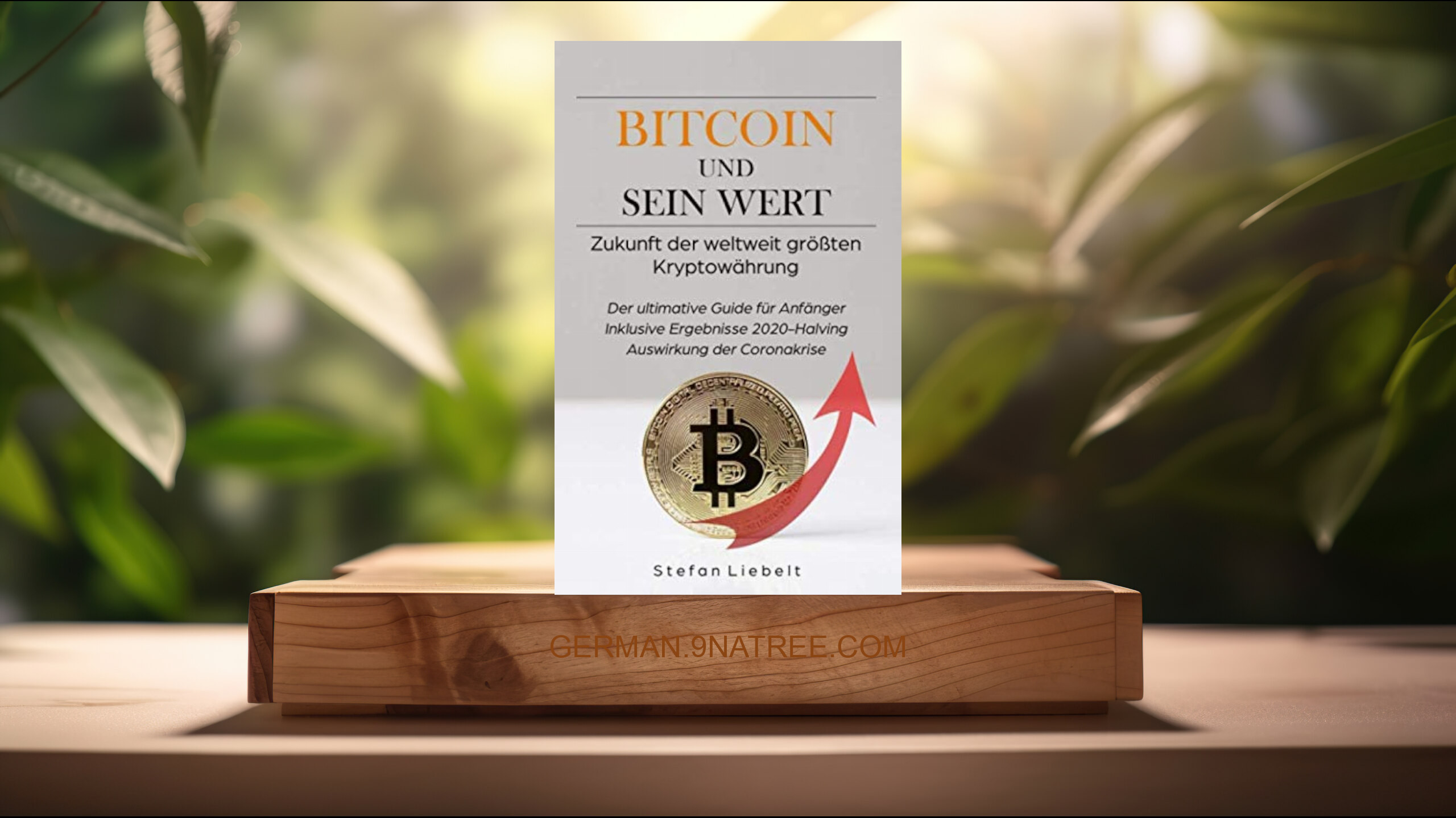 [Rezensiert] Bitcoin und sein Wert: Zukunft der größten Kryptowährung (Dr Stefan Liebelt) Zusammengefasst.