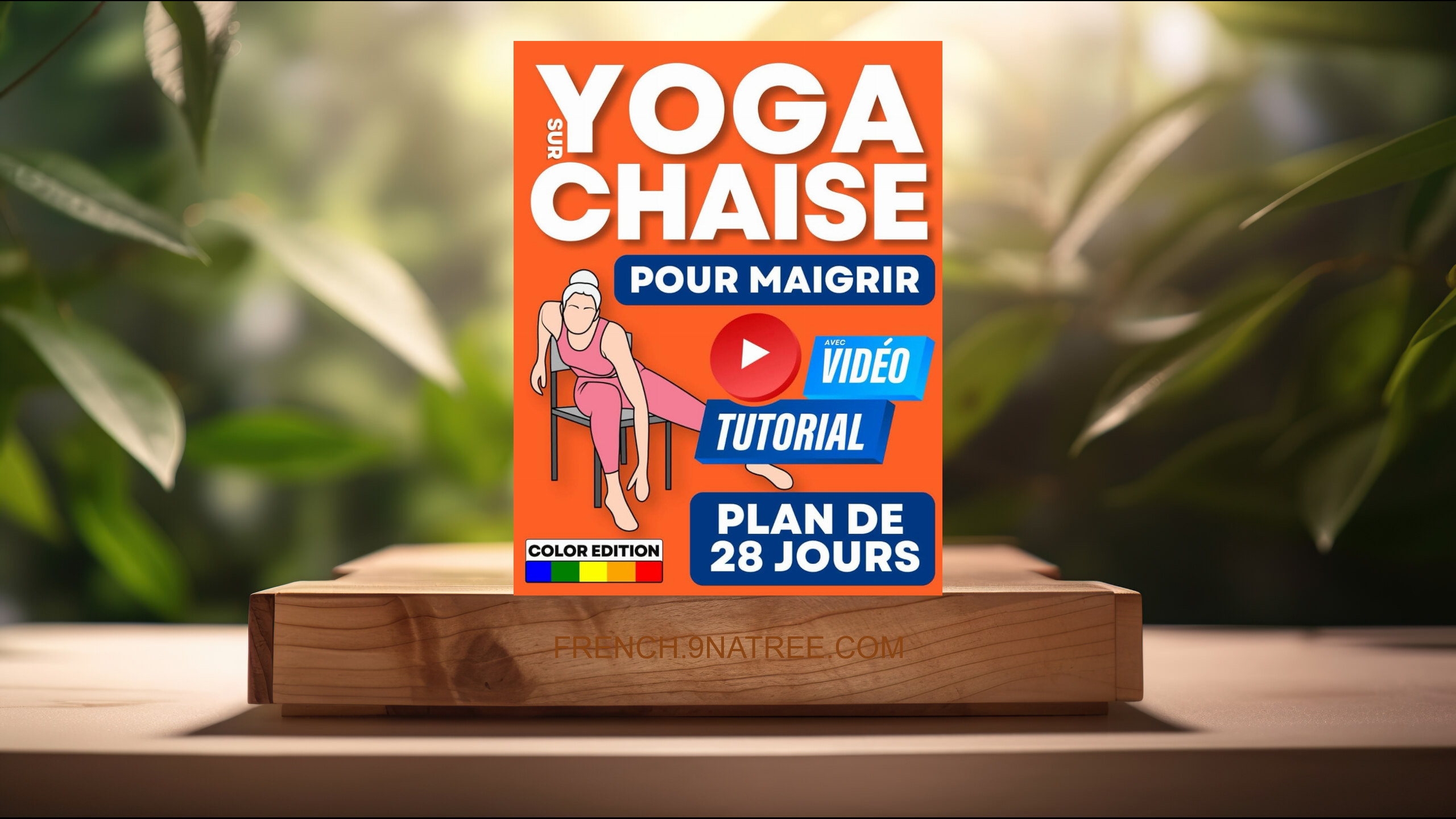 [Critique] Yoga sur Chaise pour Maigrir (Sonya Raimond) Résumé.
