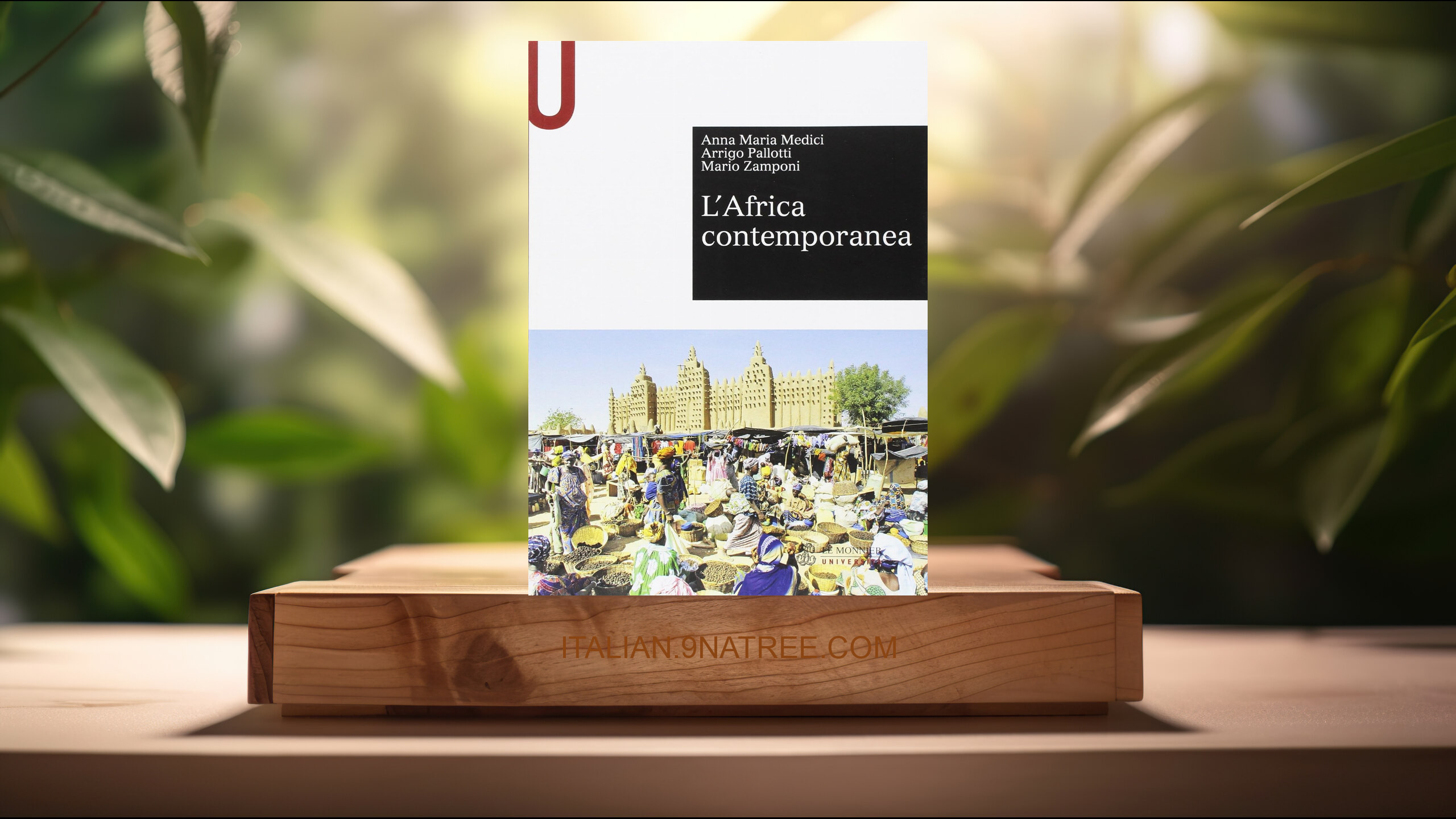 [Recensione] L'Africa contemporanea (Anna Maria Medici) Riassunto.