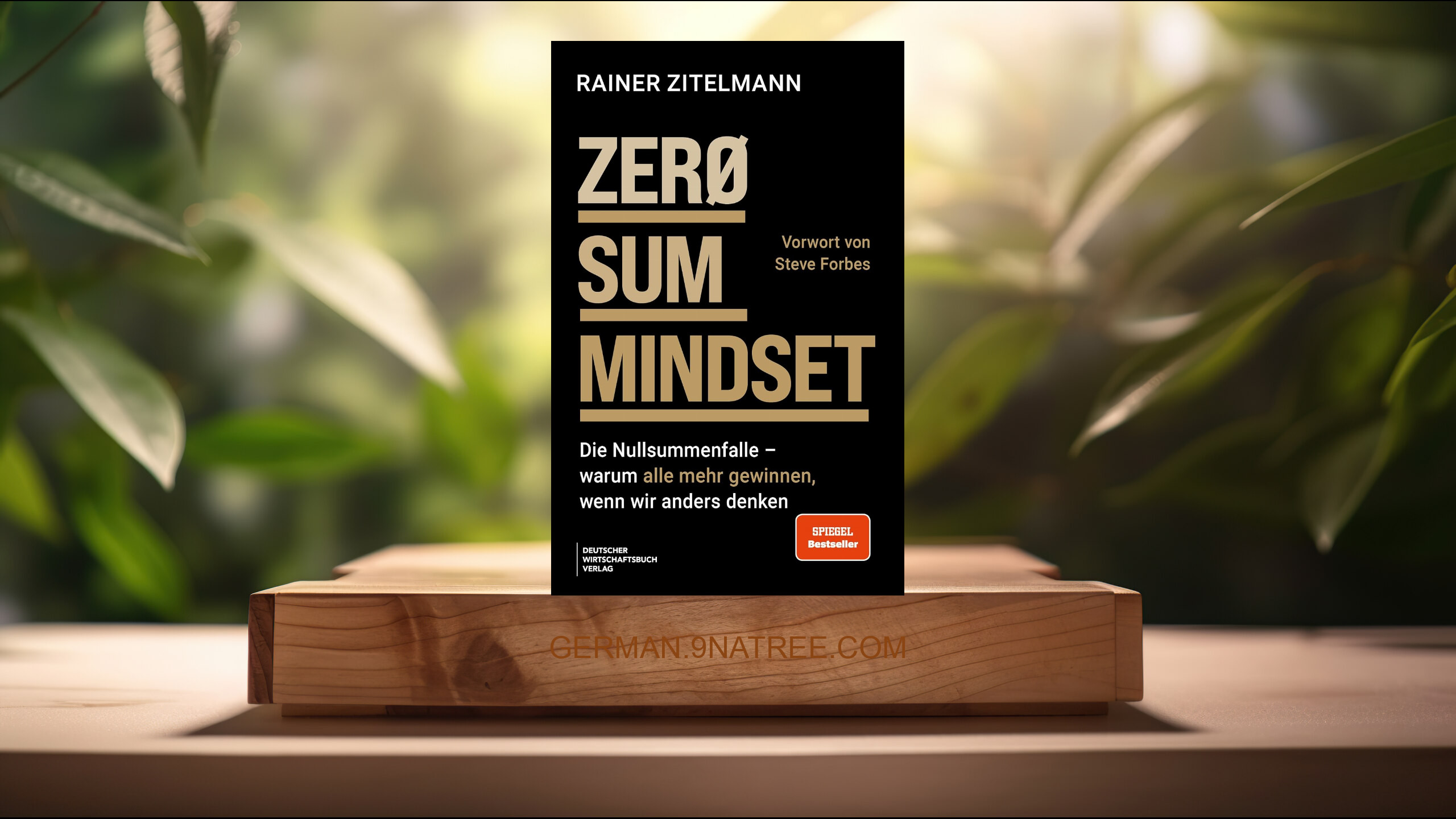 [Rezensiert] ZERO SUM MINDSET (Rainer Zitelmann) Zusammengefasst.