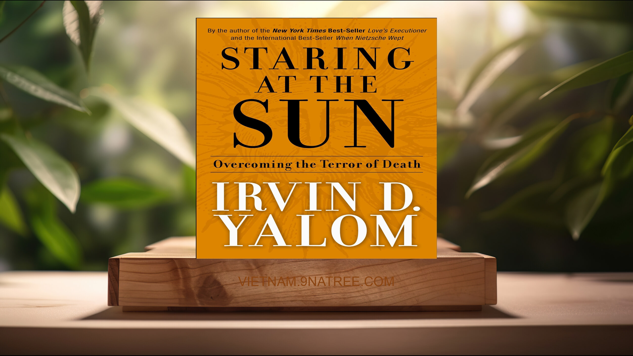 [Đánh giá] Staring at the Sun: Overcoming the Terror of Death (Irvin D. Yalom) Tóm tắt.