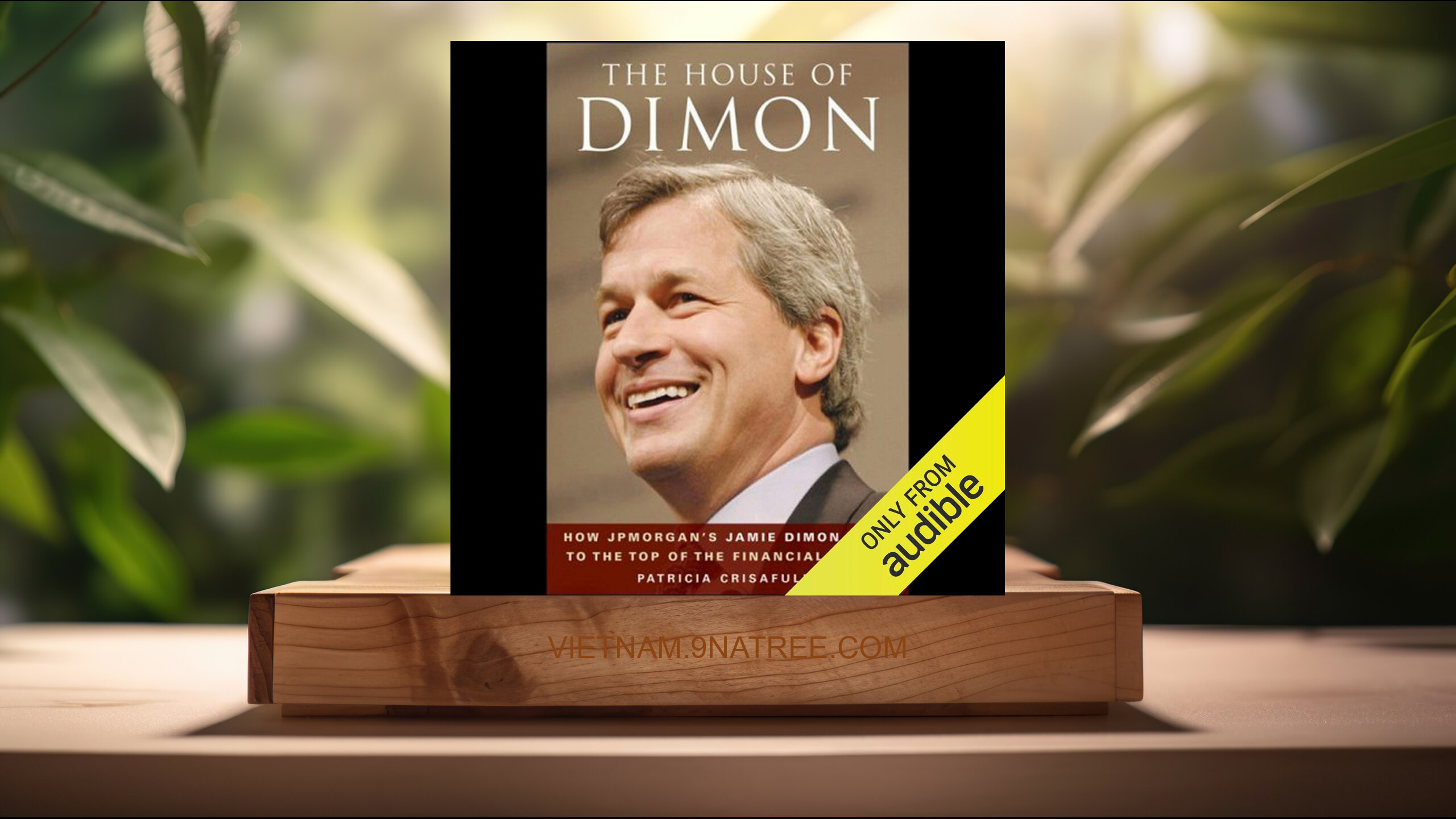 [Đánh giá] The House of Dimon (Patricia Crisafulli) Tóm tắt.