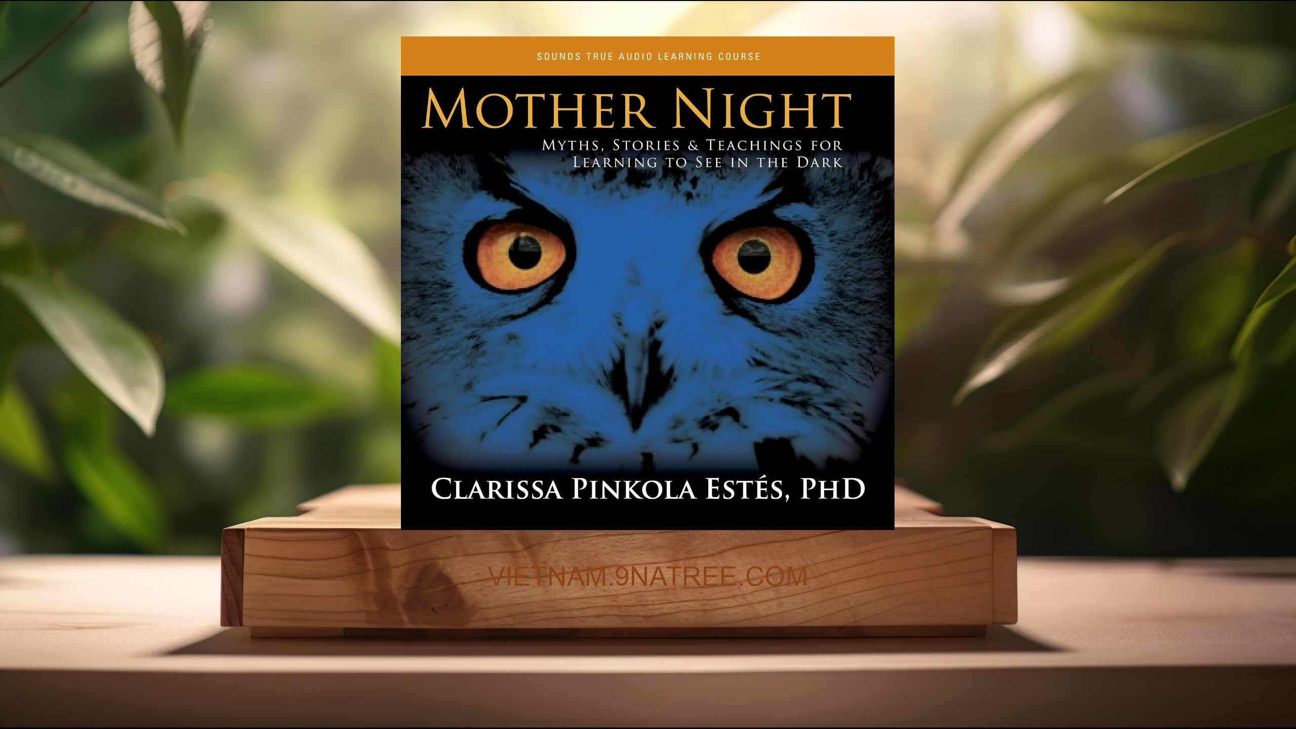 [Đánh giá] Mother Night (PhD Clarissa Pinkola Estés Ph.D.) Tóm tắt.