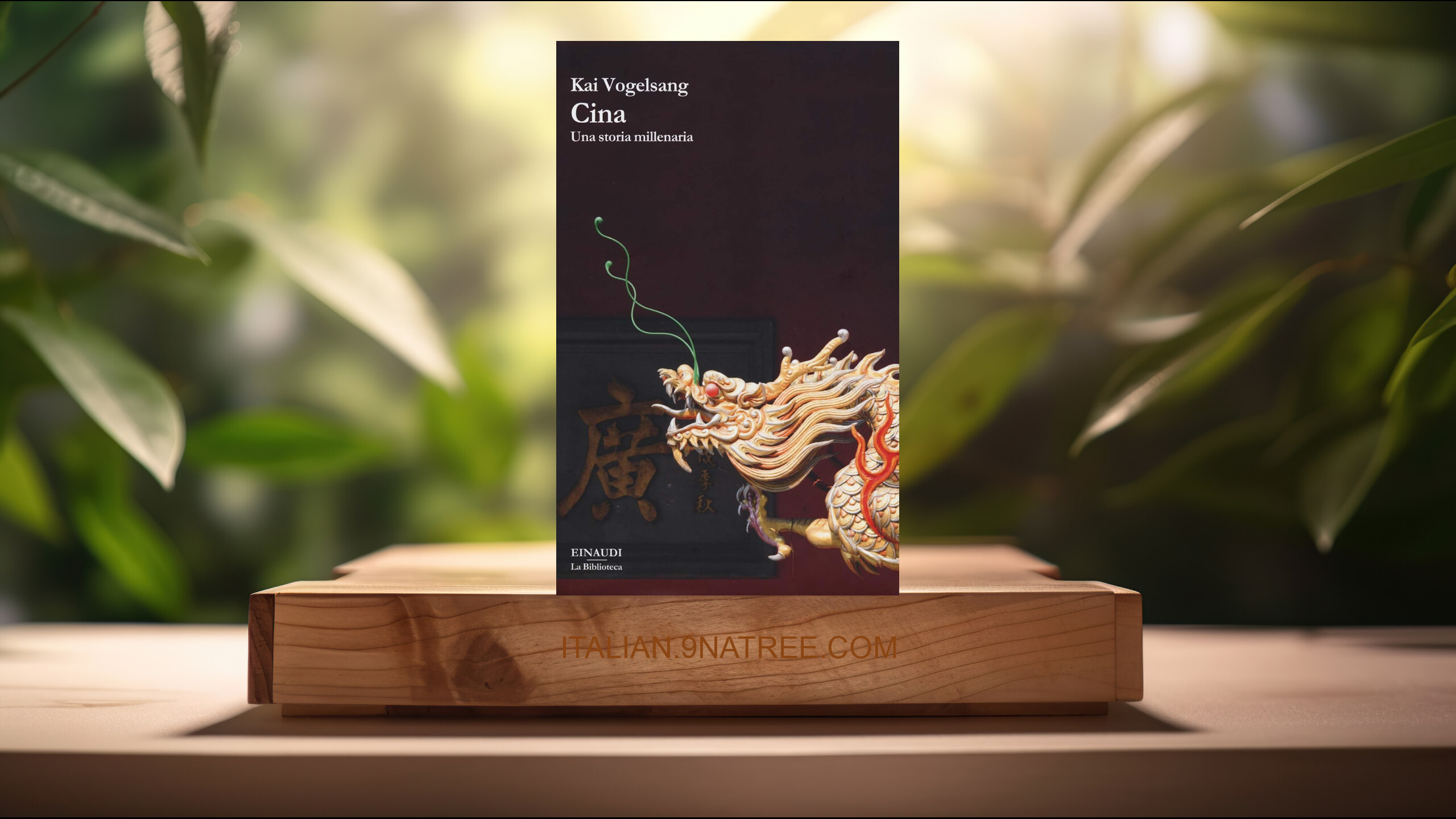 [Recensione] Cina. Una storia millenaria (Kai Vogelsang) Riassunto.