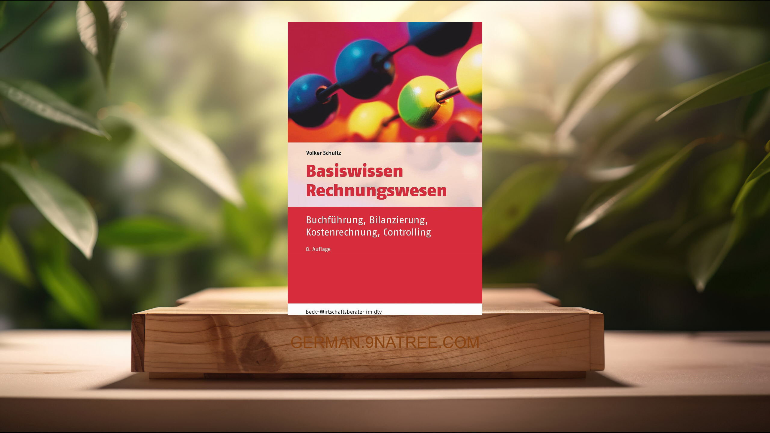 [Rezensiert] Basiswissen Rechnungswesen (Volker Schultz) Zusammengefasst.