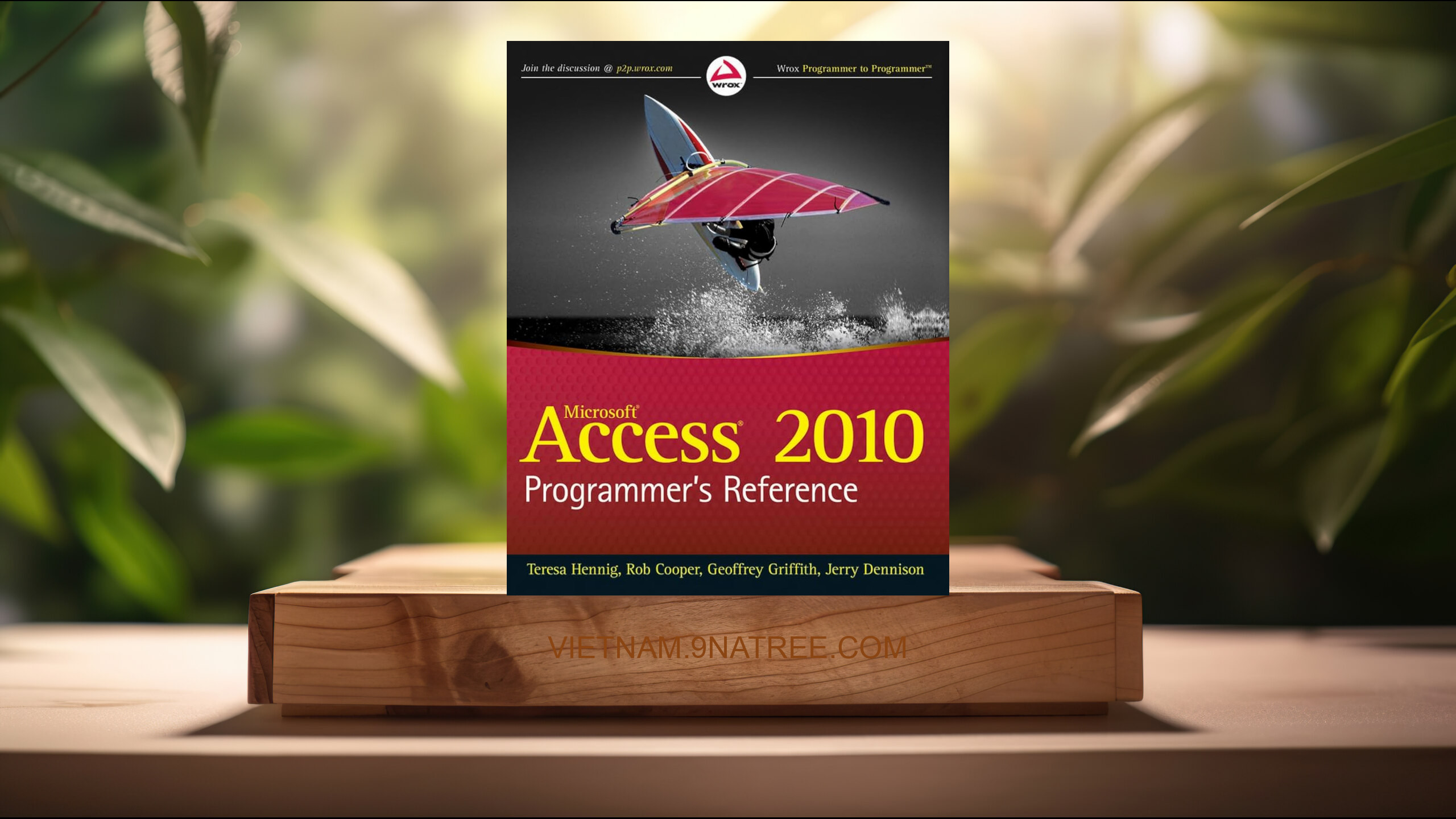 [Đánh giá] Access 2010 Programmer's Reference (Teresa Hennig) Tóm tắt.