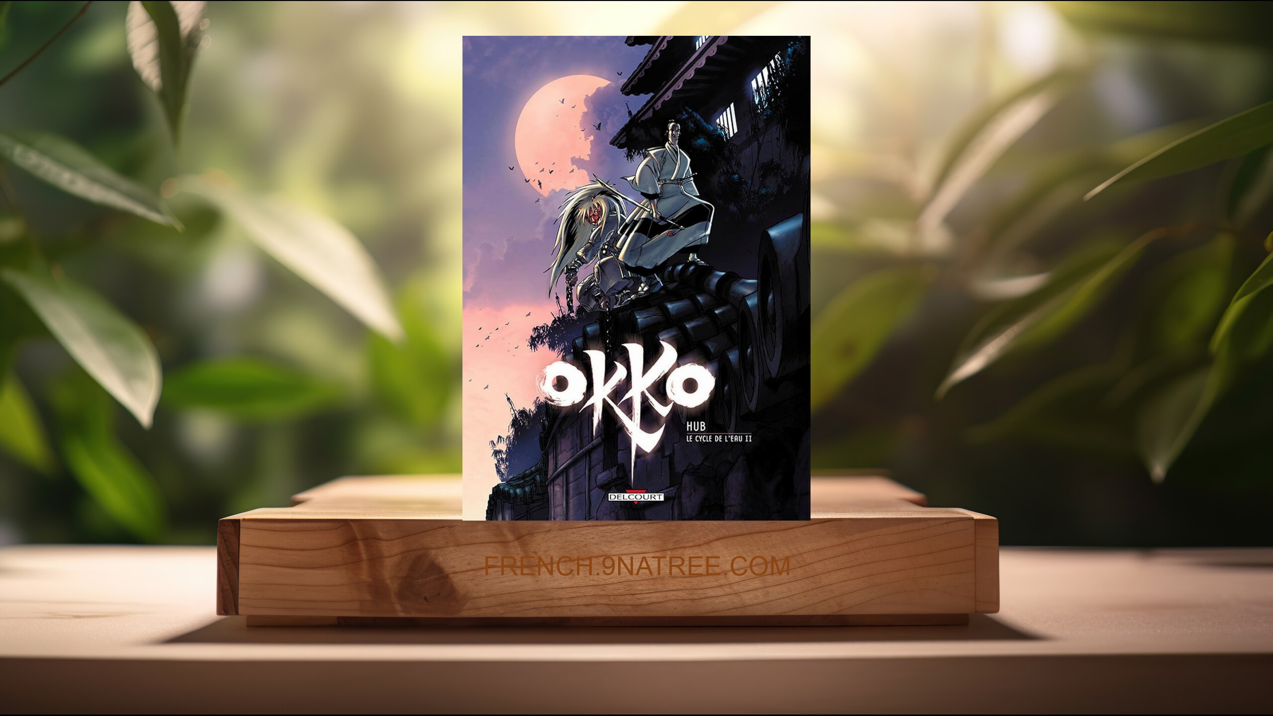 [Critique] Okko T02: Le Cycle de l'eau  (HUB) Résumé.