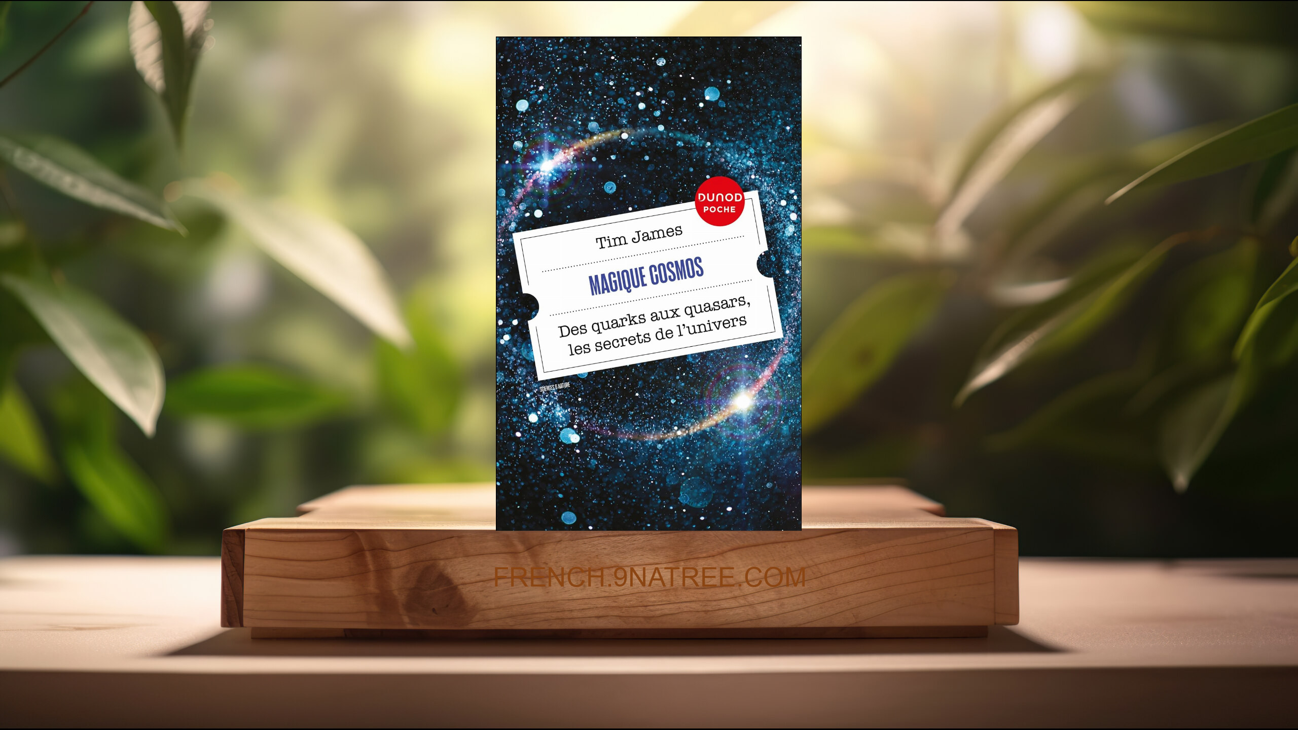 [Critique] Magique cosmos: Des quarks aux quasars, les secrets de l'univers (Tim James) Résumé.