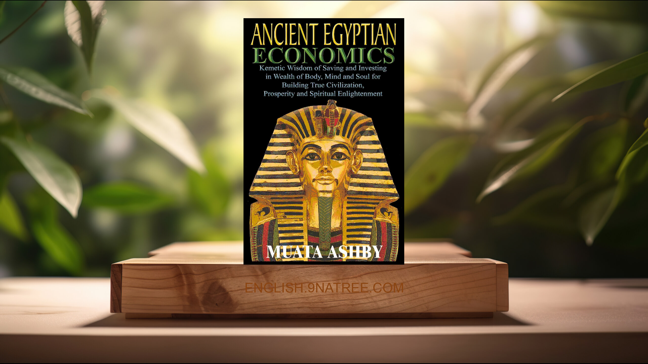 [Review] ANCIENT EGYPTIAN ECONOMICS (Muata Ashby) Summarized.