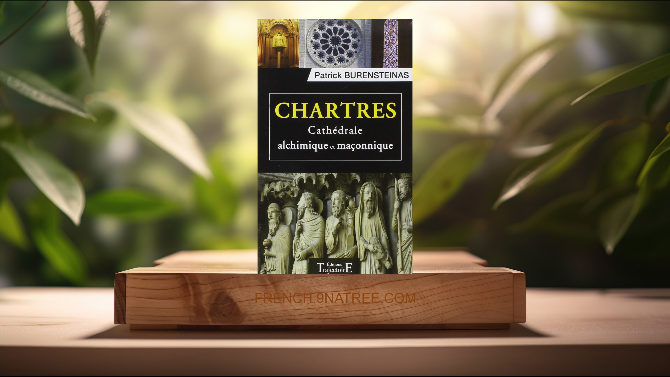[Critique] Chartres - Cathédrale alchimique et maçonnique (Patrick Burensteinas) Résumé.