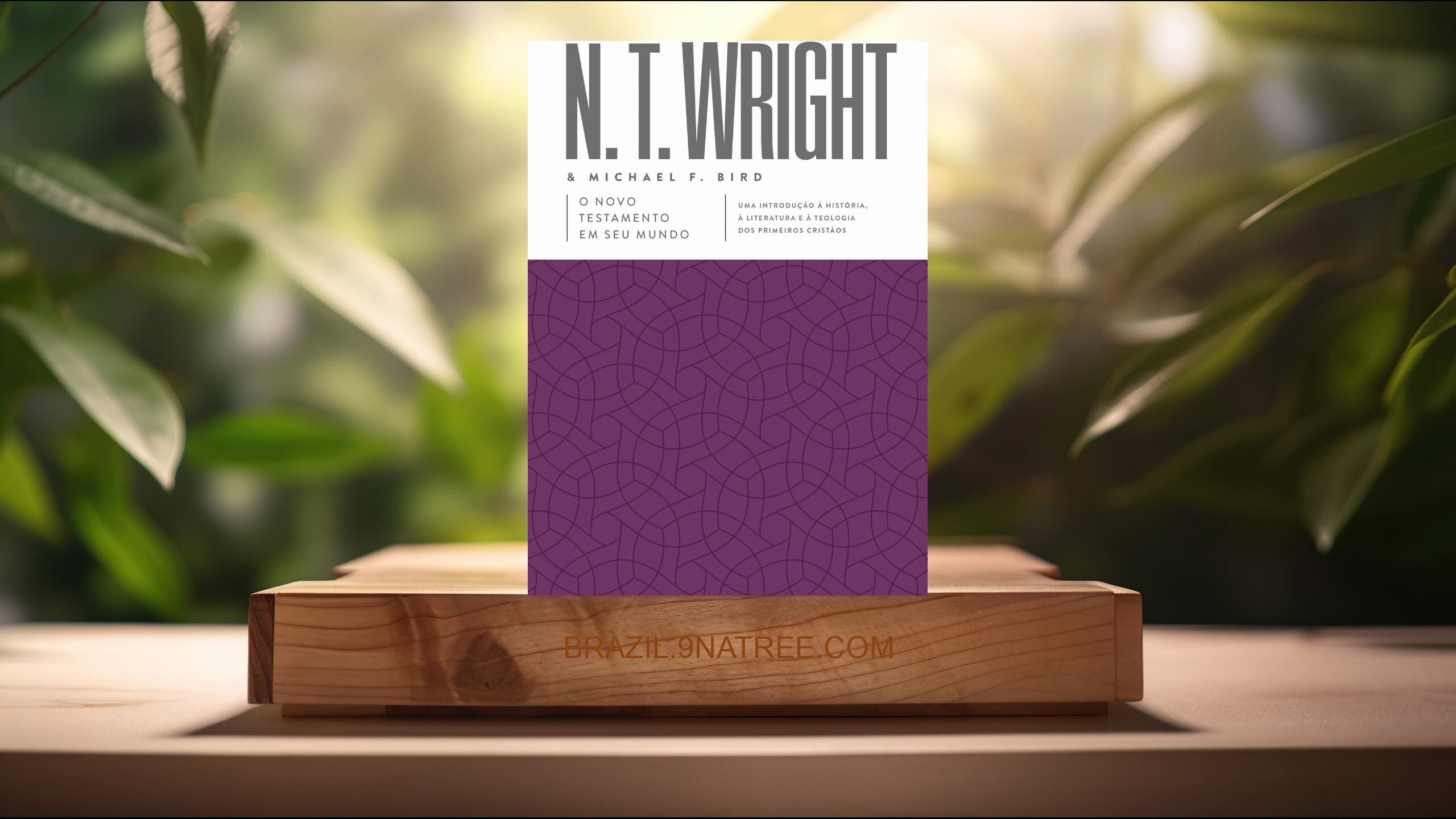 [Análises] O Novo Testamento em seu mundo (N.T. Wright) Resumidos.