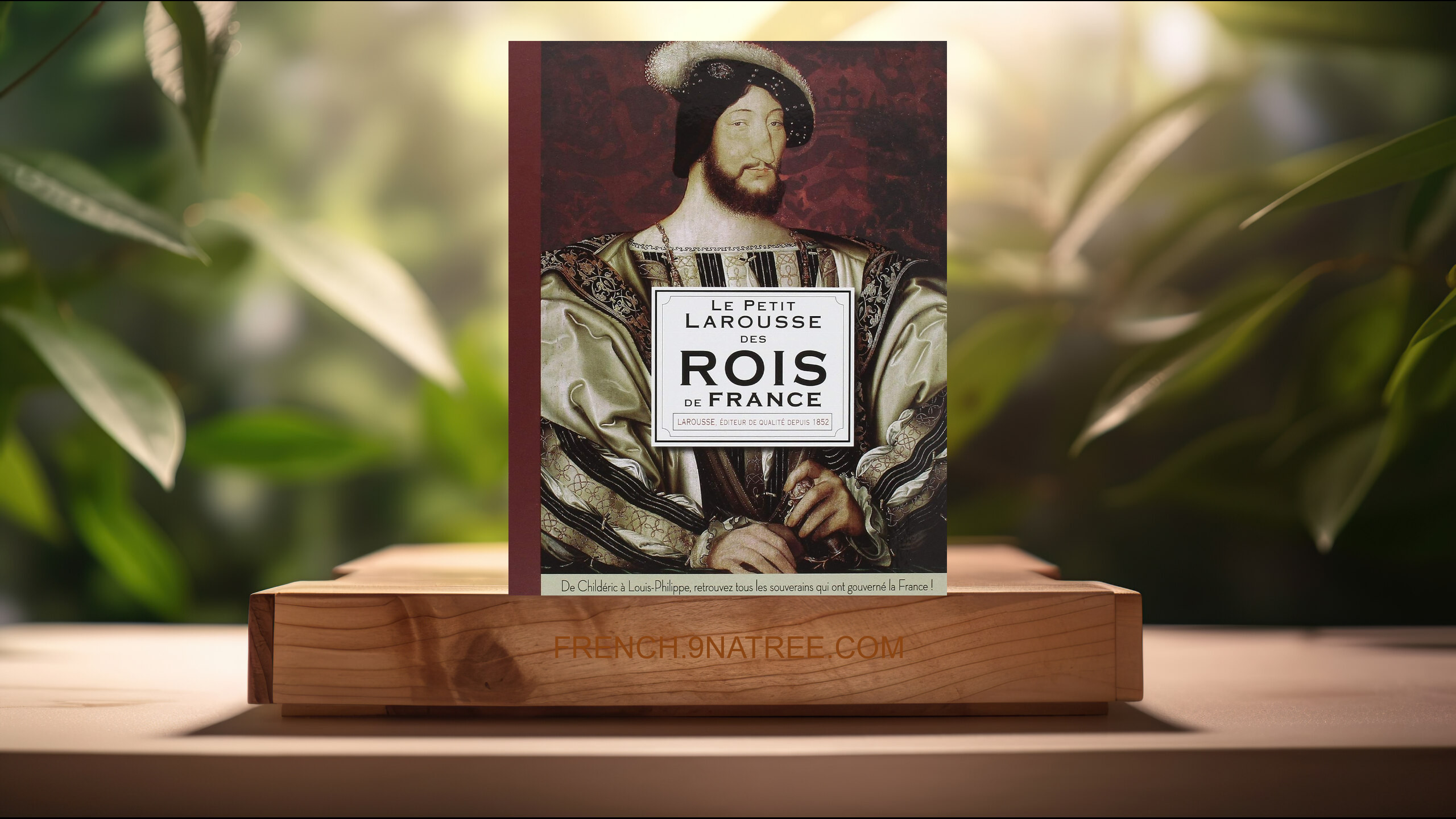 [Critique] Le Petit Larousse des Rois de France (Collectif) Résumé.